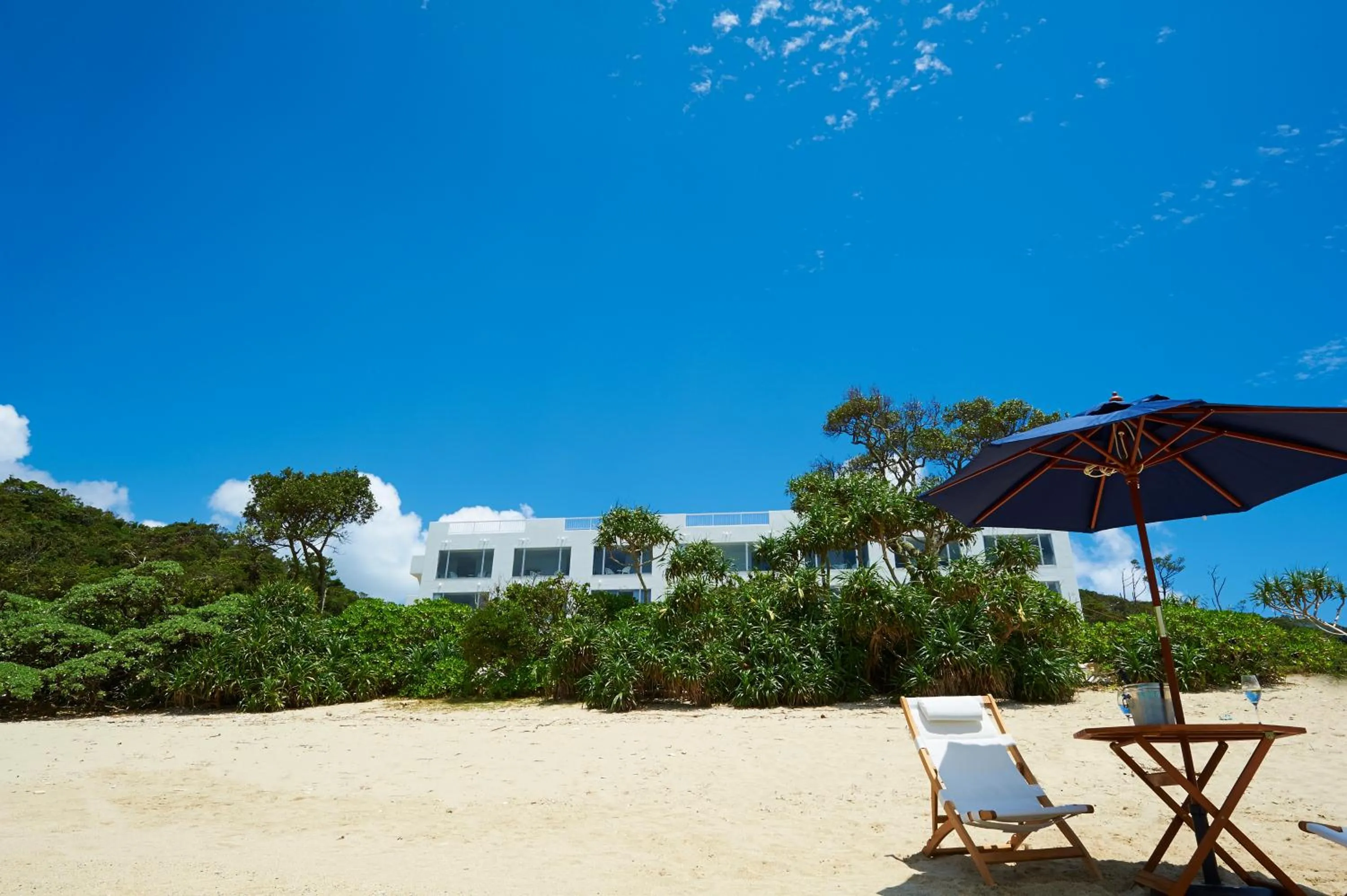 Day in Hotel The Scene