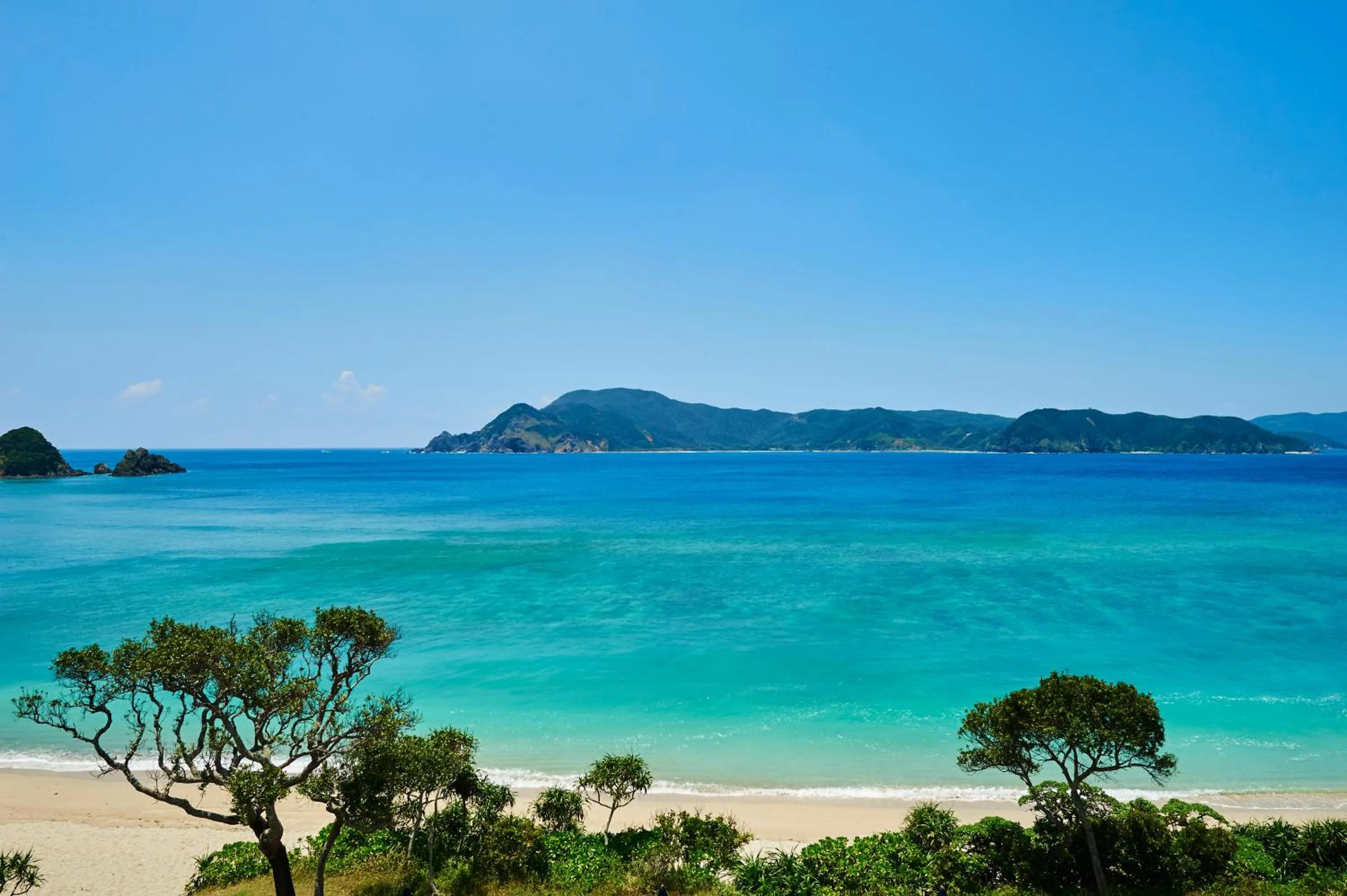 Day in Hotel The Scene