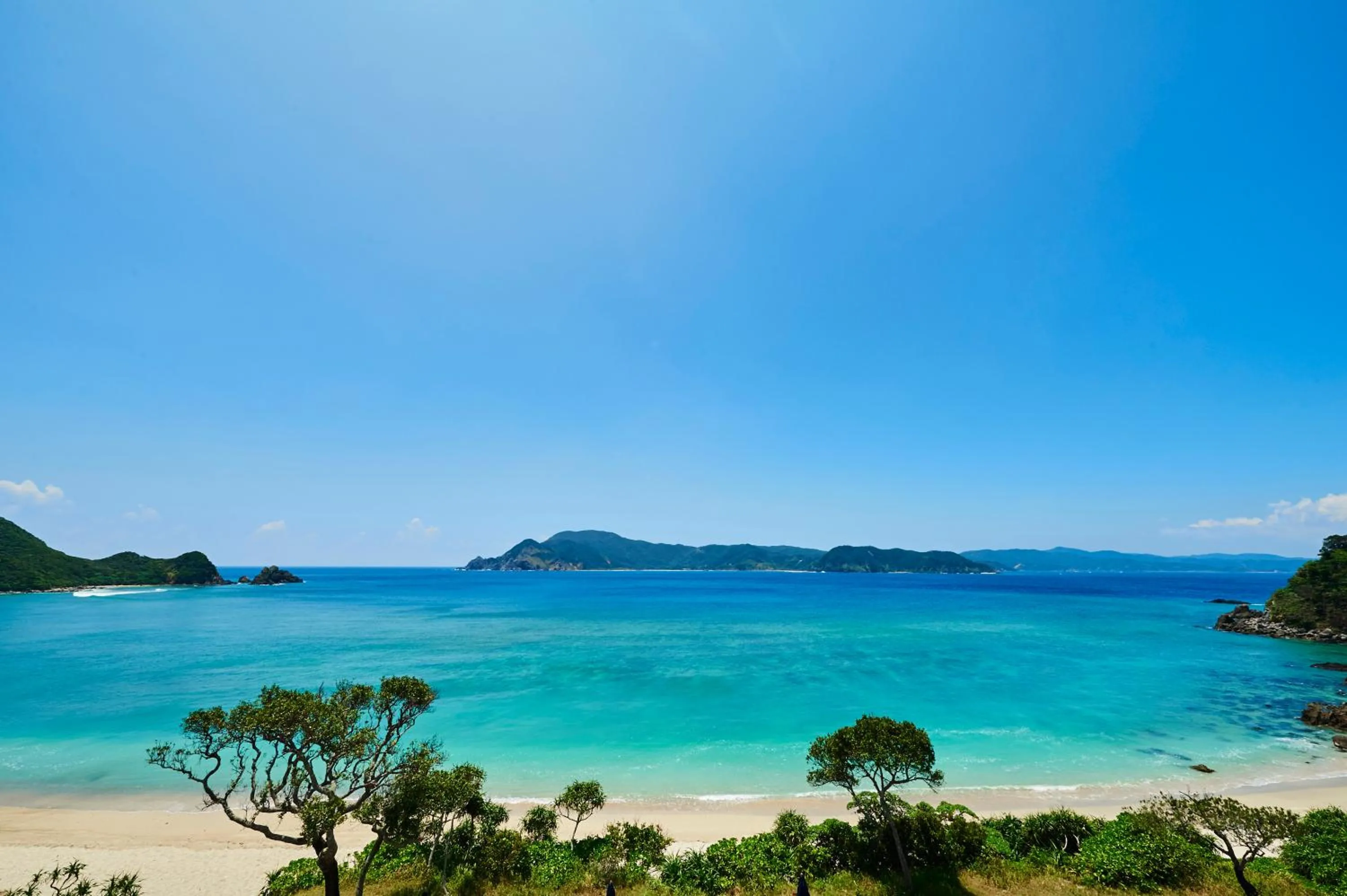 Day in Hotel The Scene