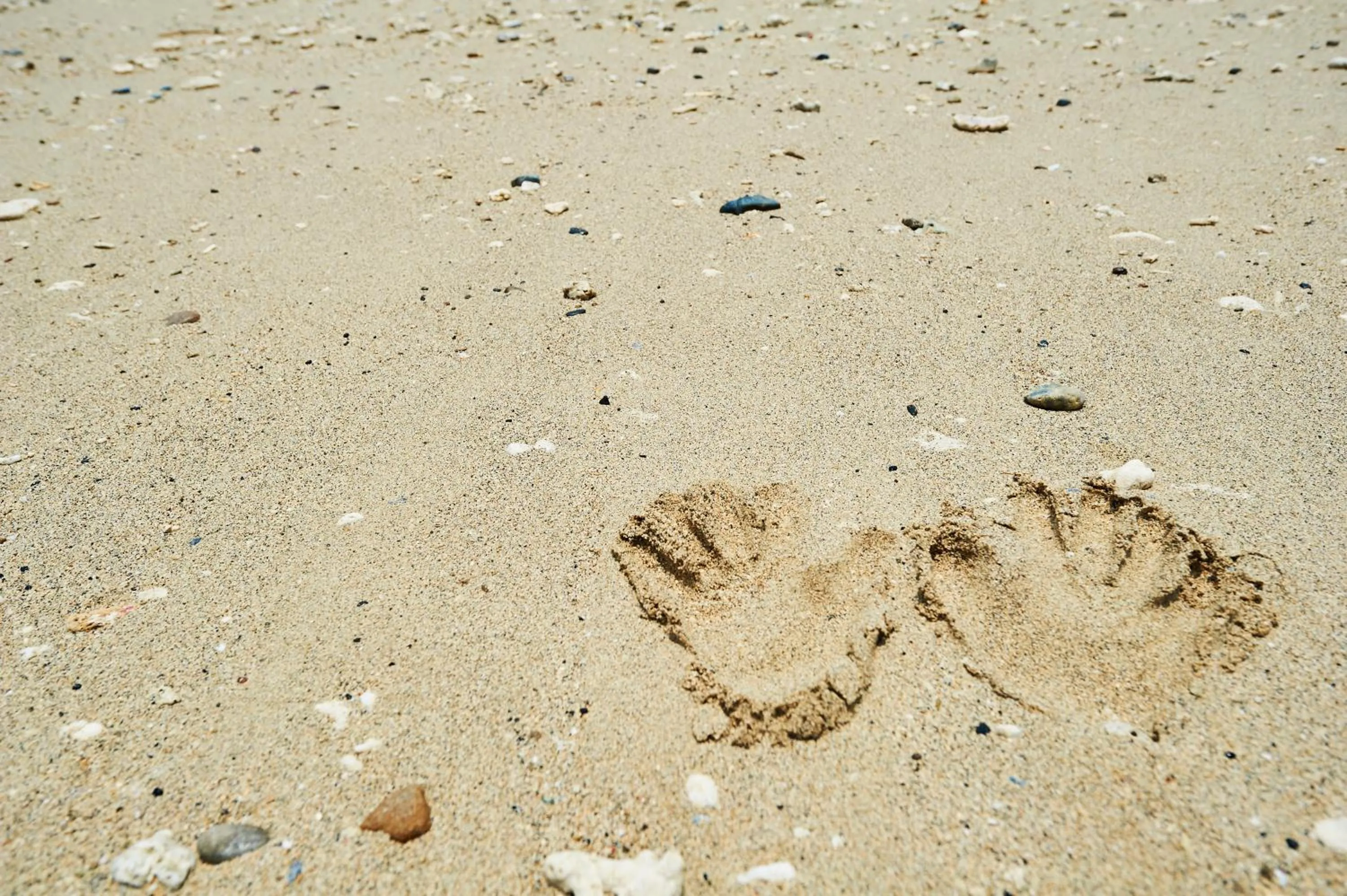 Day in Hotel The Scene