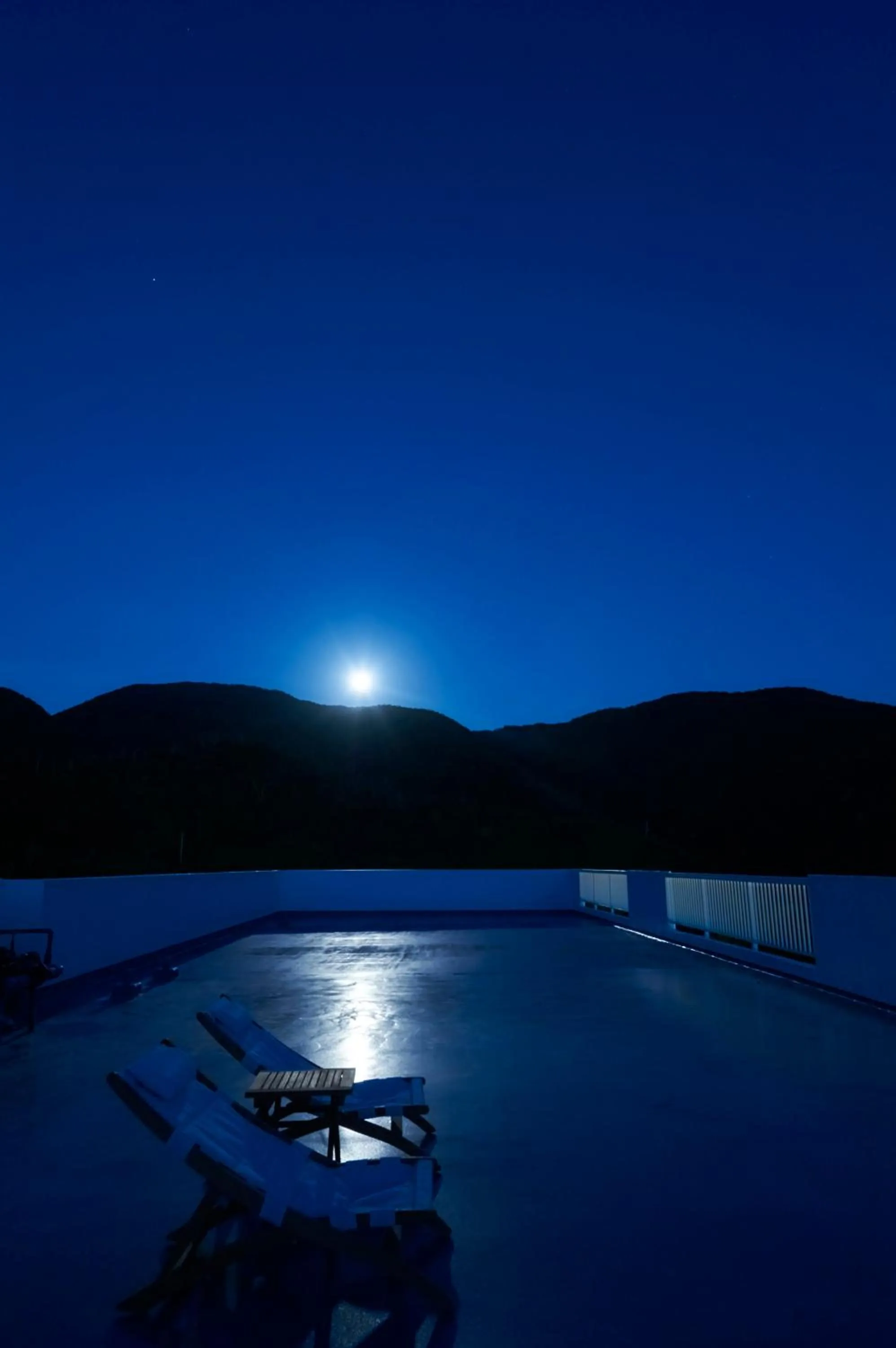 Night in Hotel The Scene