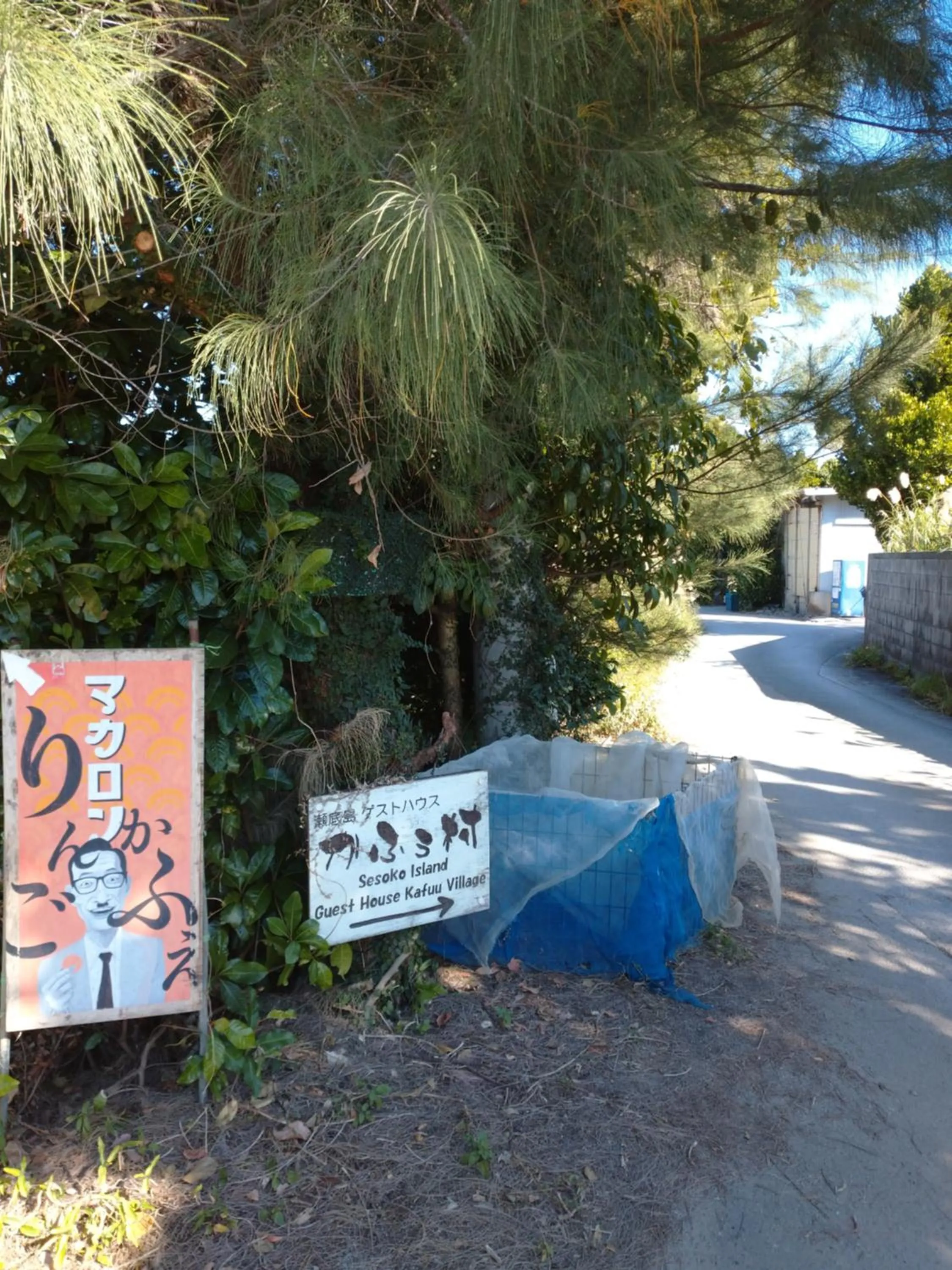 Property logo or sign in Sesoko Island Guest House Kafuu Village