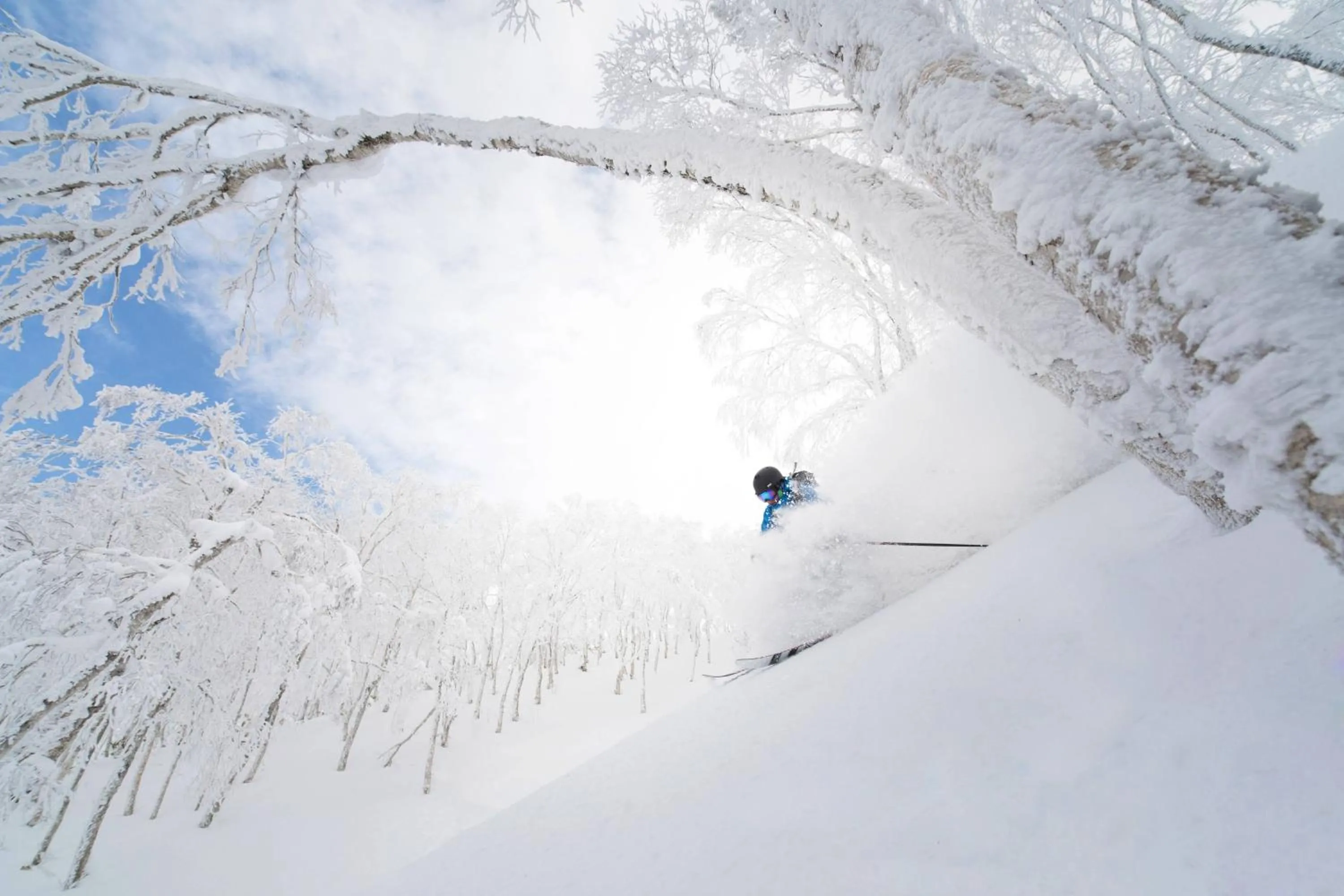 Other in The Westin Rusutsu Resort