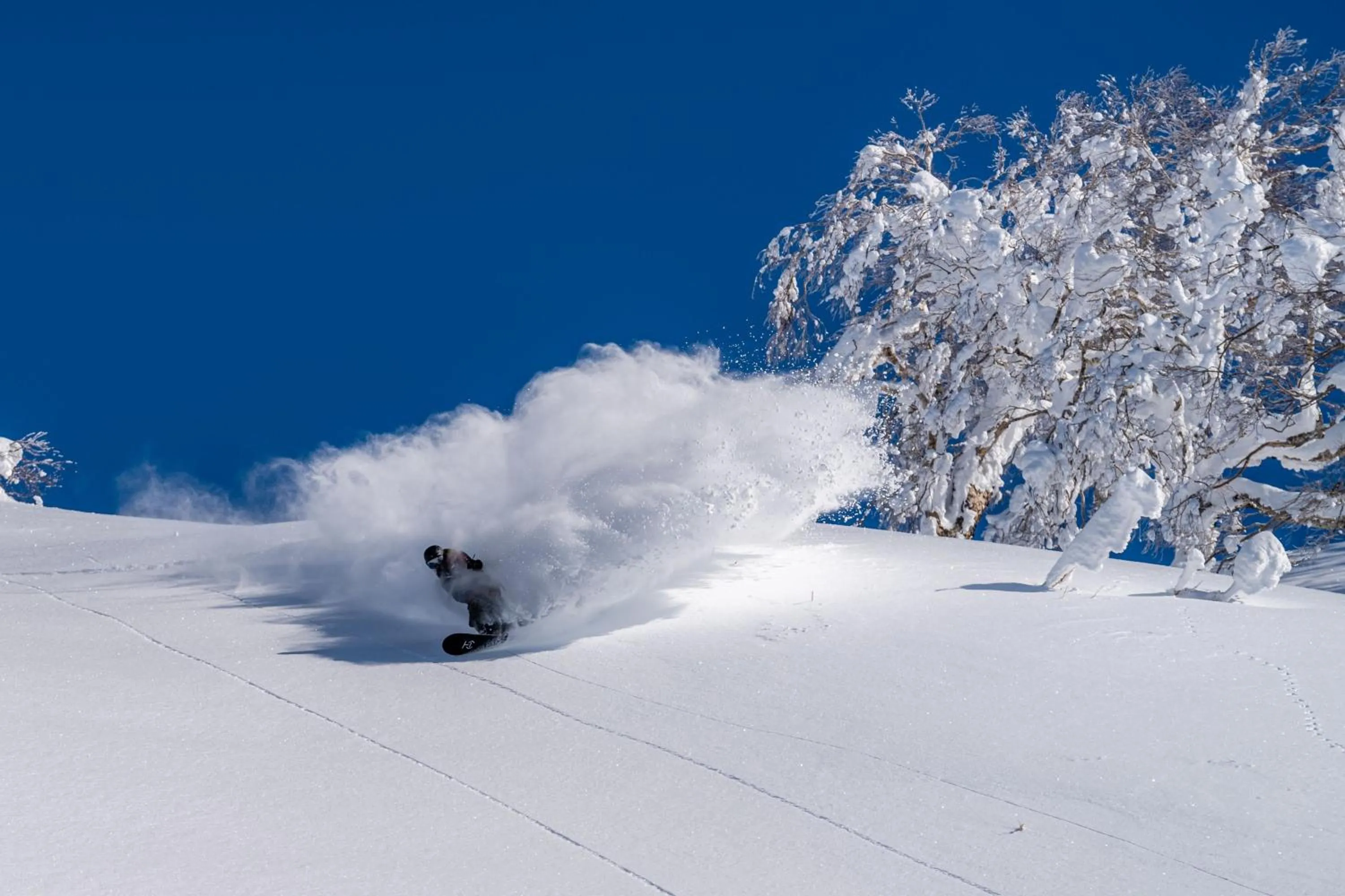 Other in The Westin Rusutsu Resort