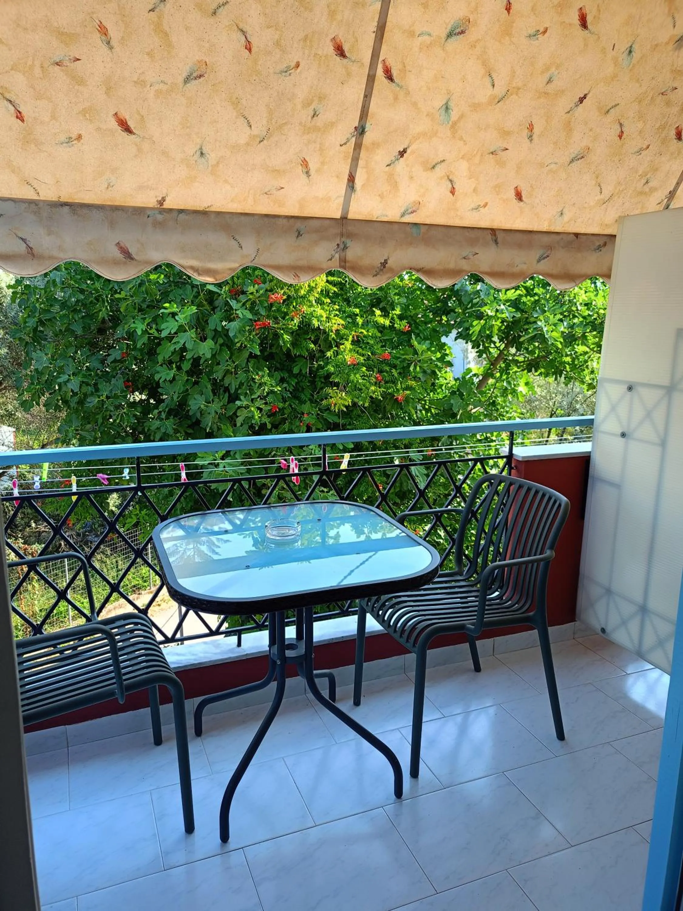 Balcony/Terrace in Apartments Filoxenia Zois
