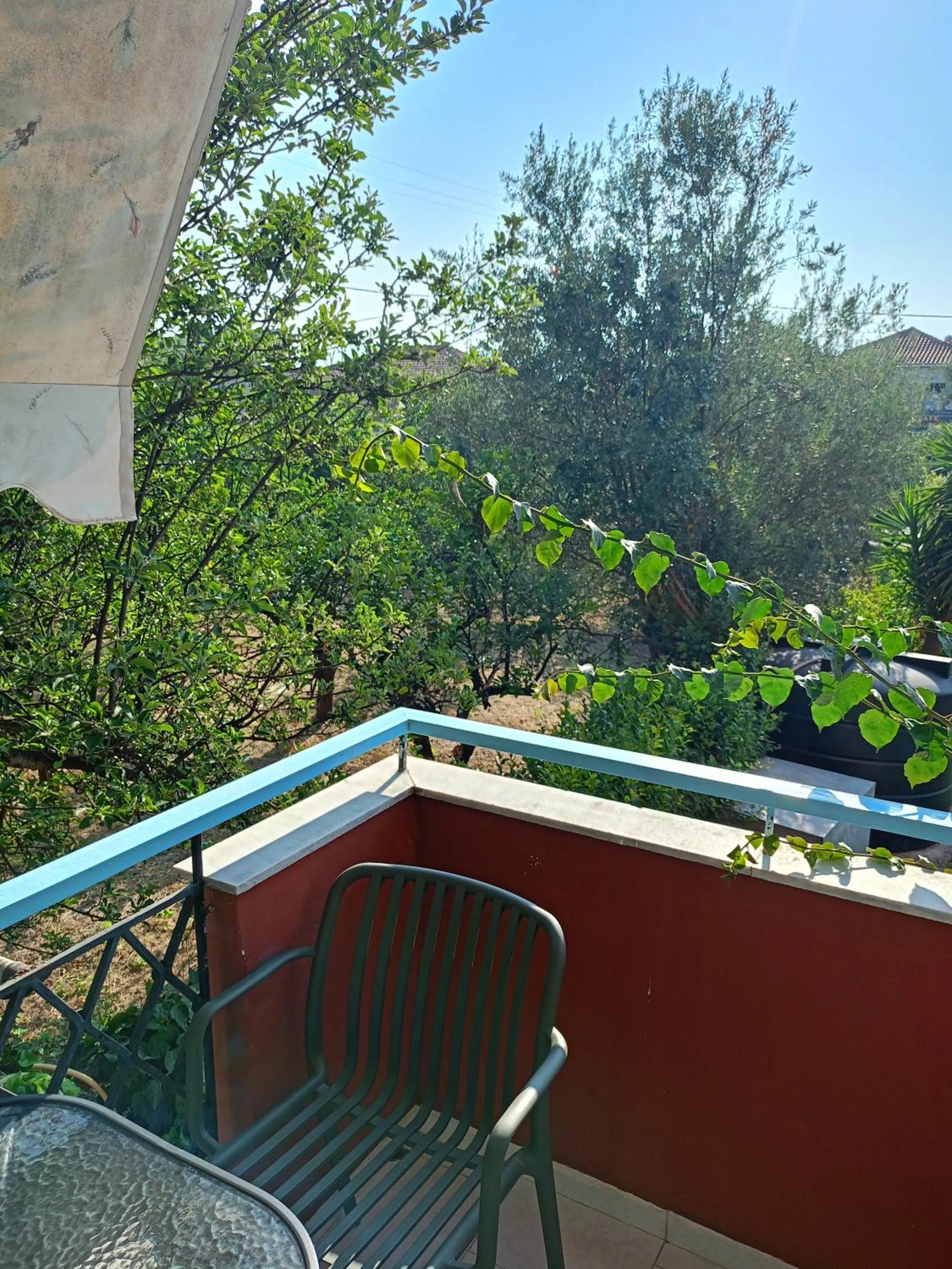 Garden view in Apartments Filoxenia Zois