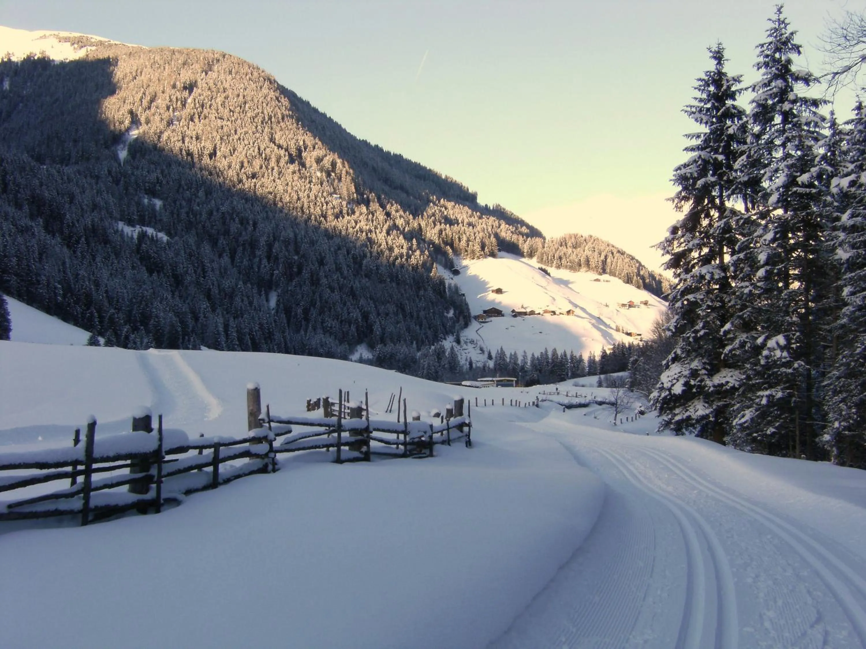 Natural landscape in Zum Sepp