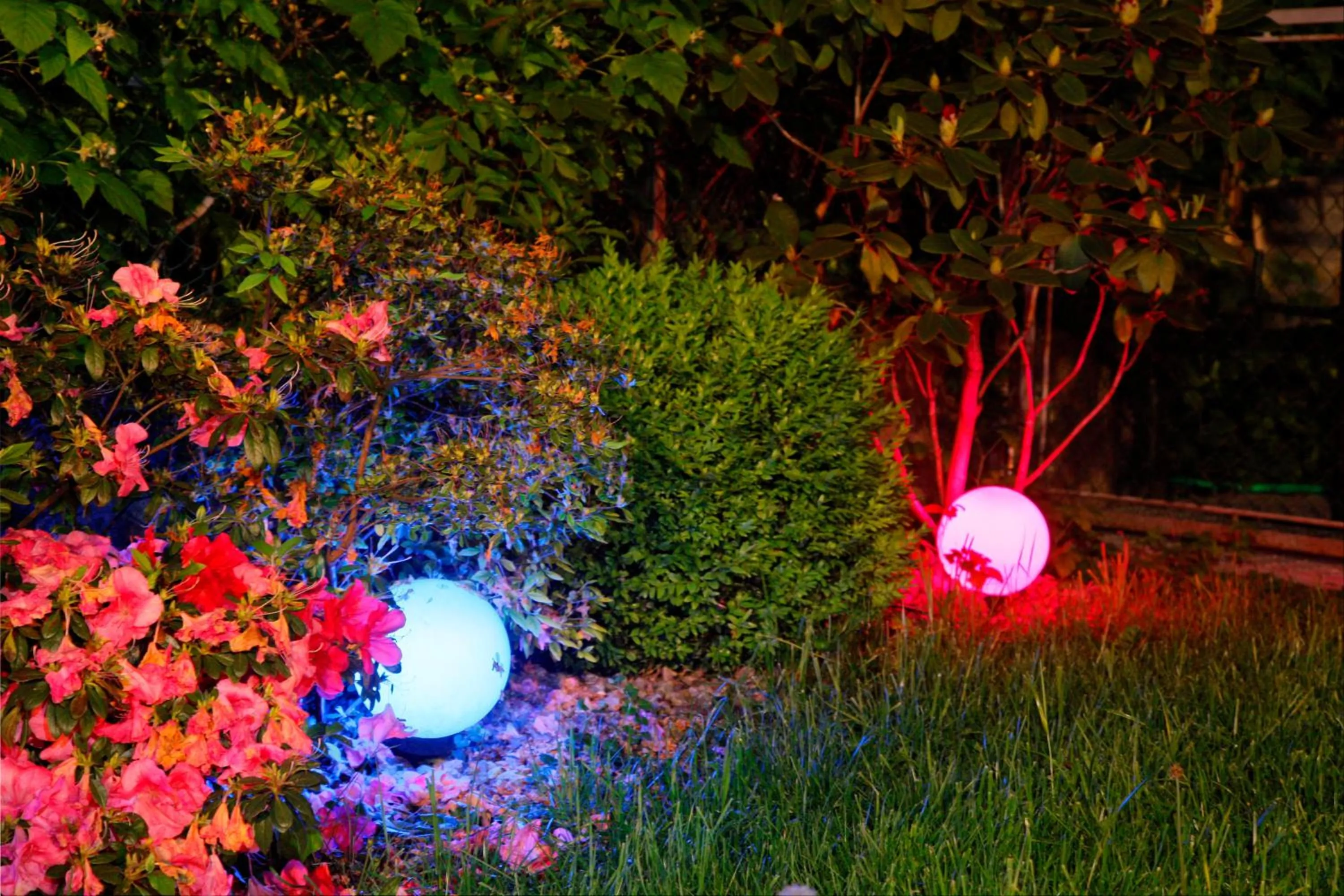 Facade/entrance in Hotel Jardis