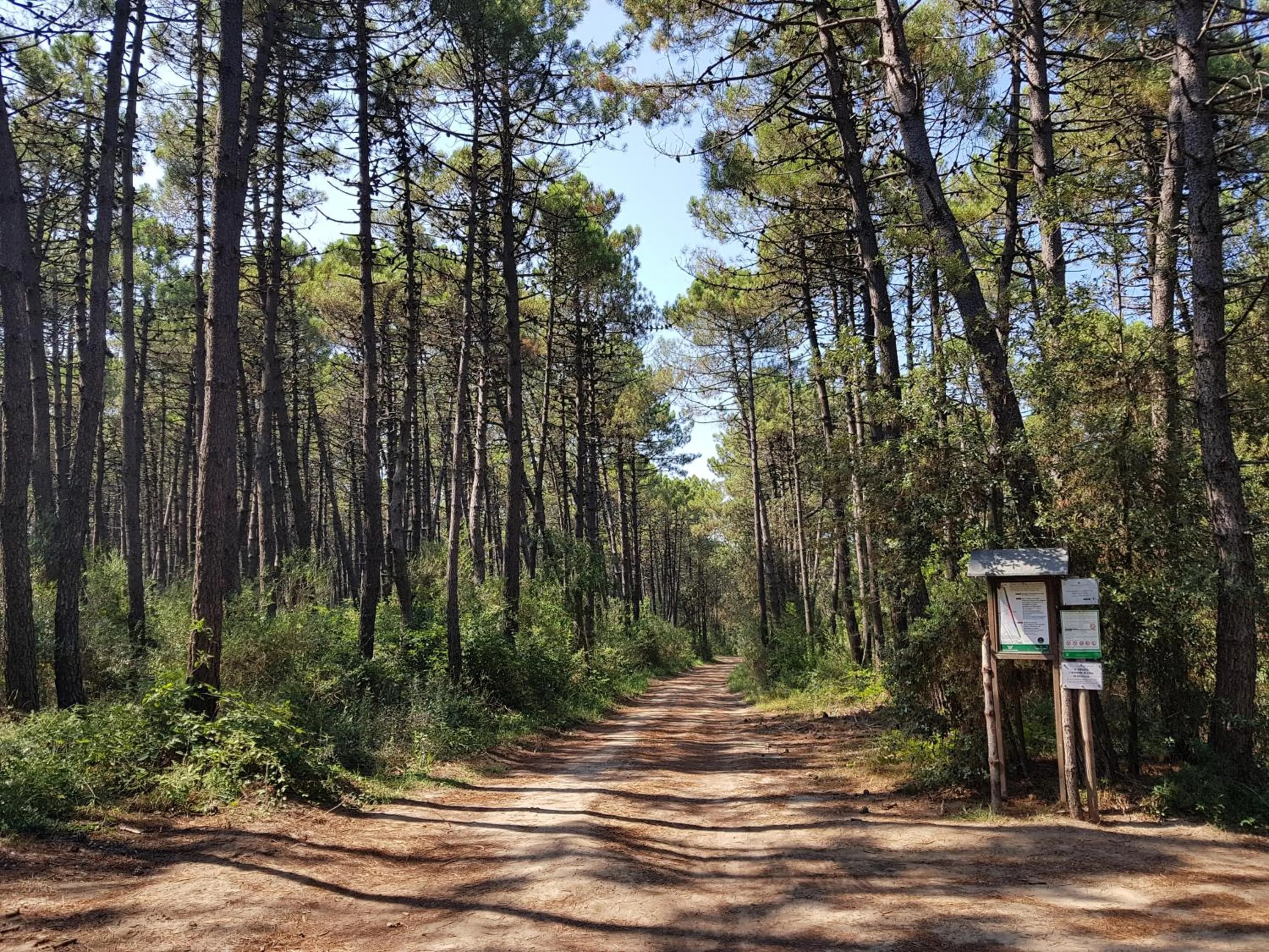 Natural landscape in Hotel Sorriso