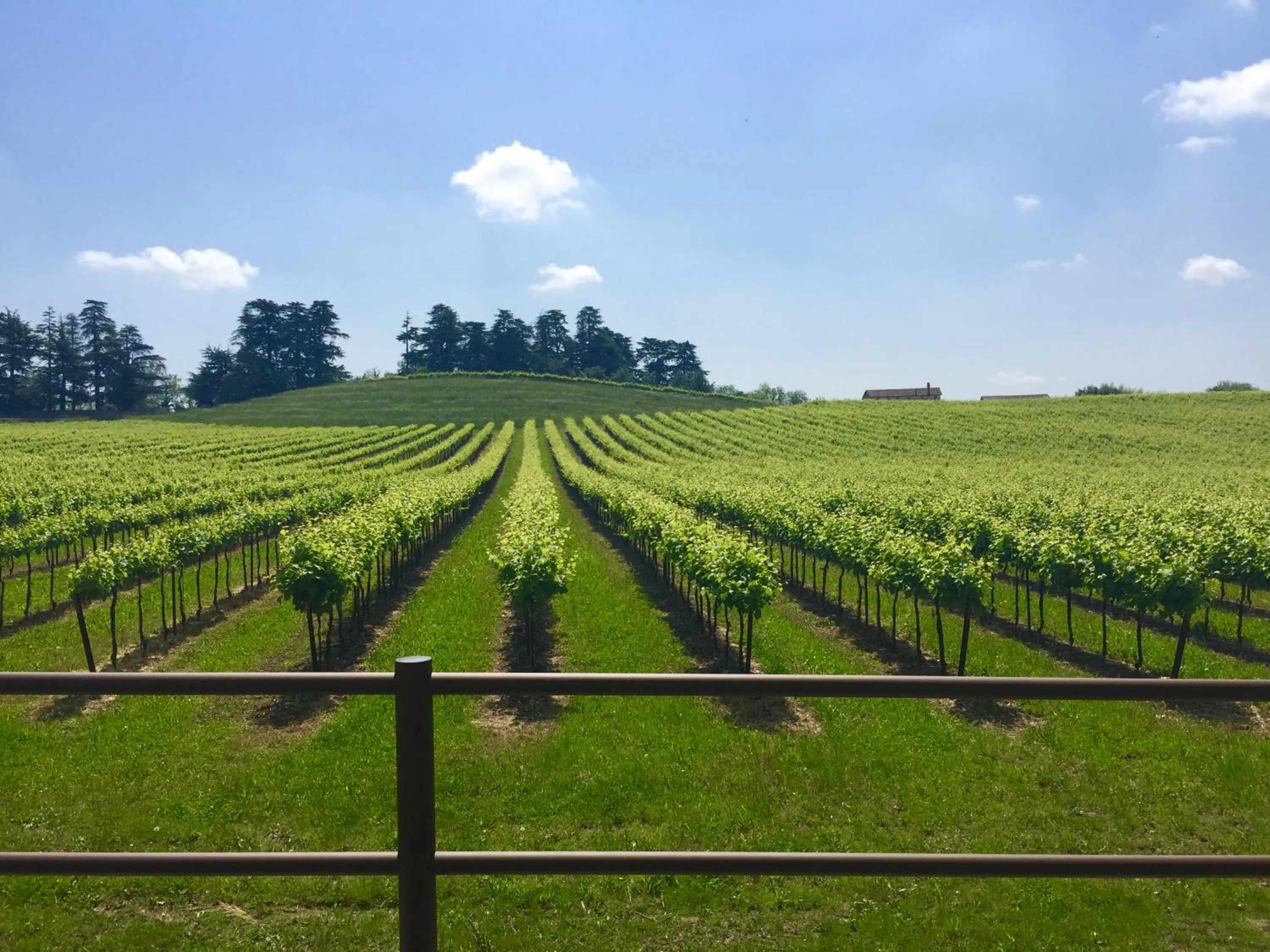 Hotel Ristorante al Giardinetto