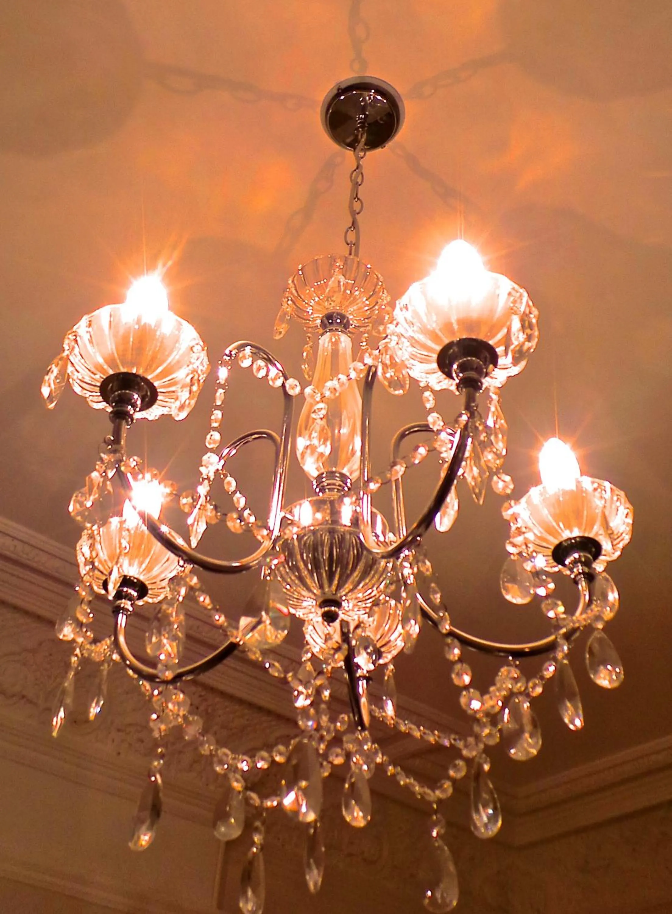 Other in Antler Guest House