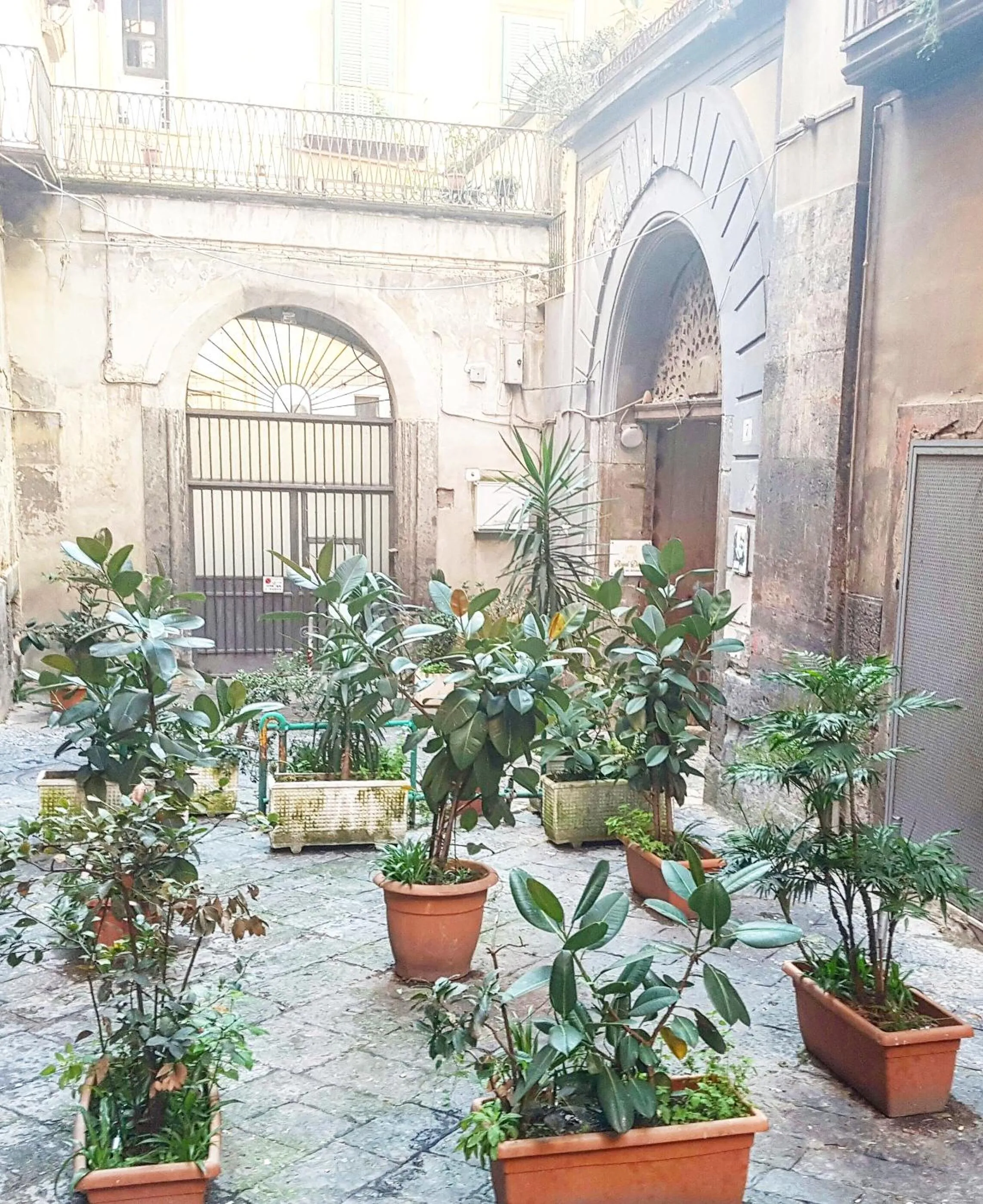 Facade/entrance in Royal Dante