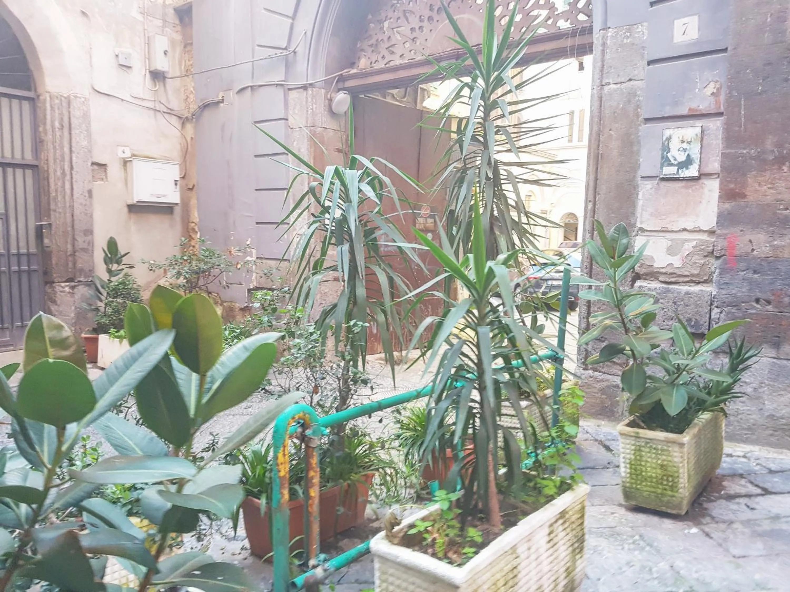 Property building in Royal Dante