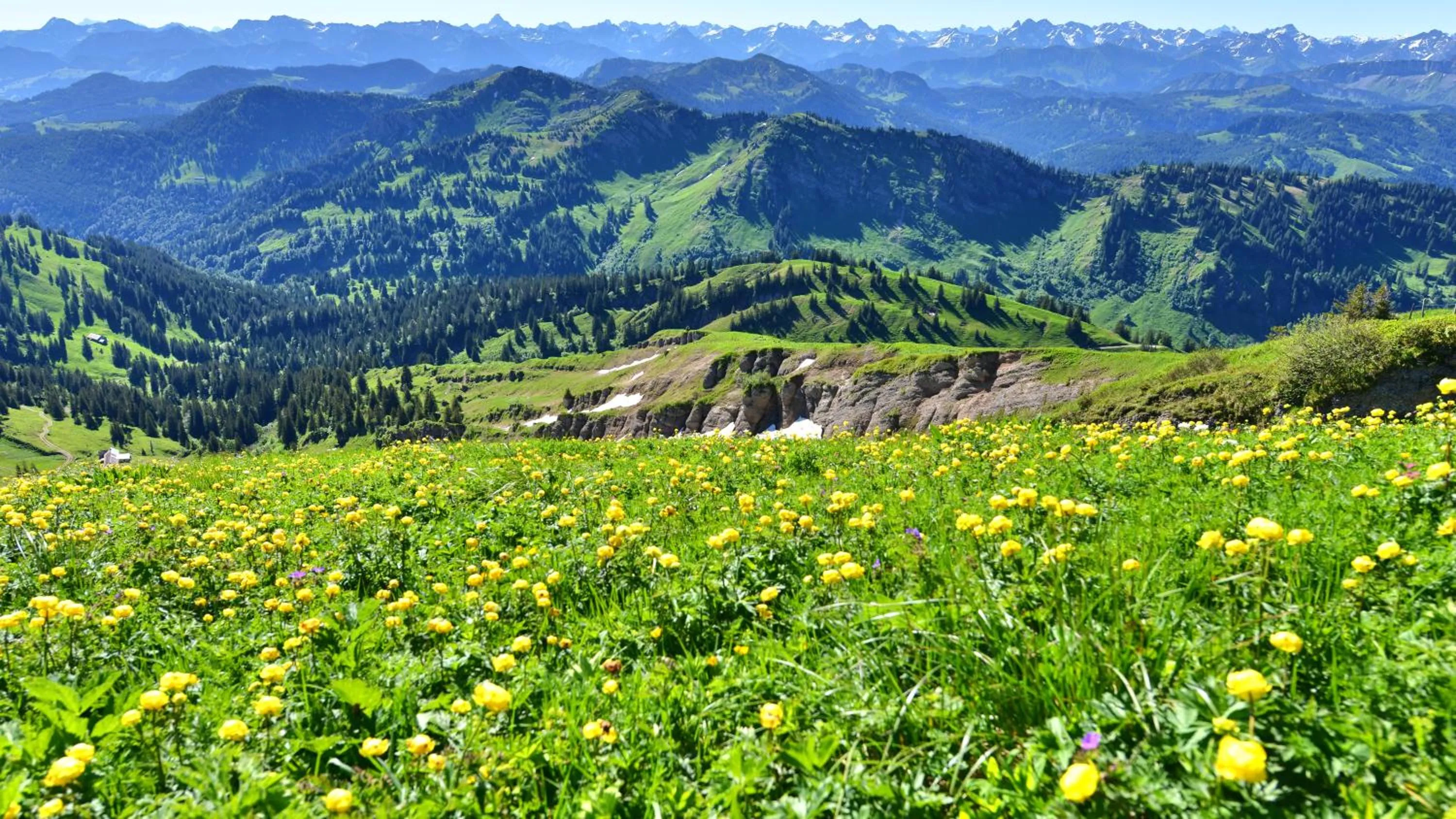 Natural landscape in Berghüs Schratt - EINFACH ANDERS - Ihr vegetarisches und veganes Biohotel