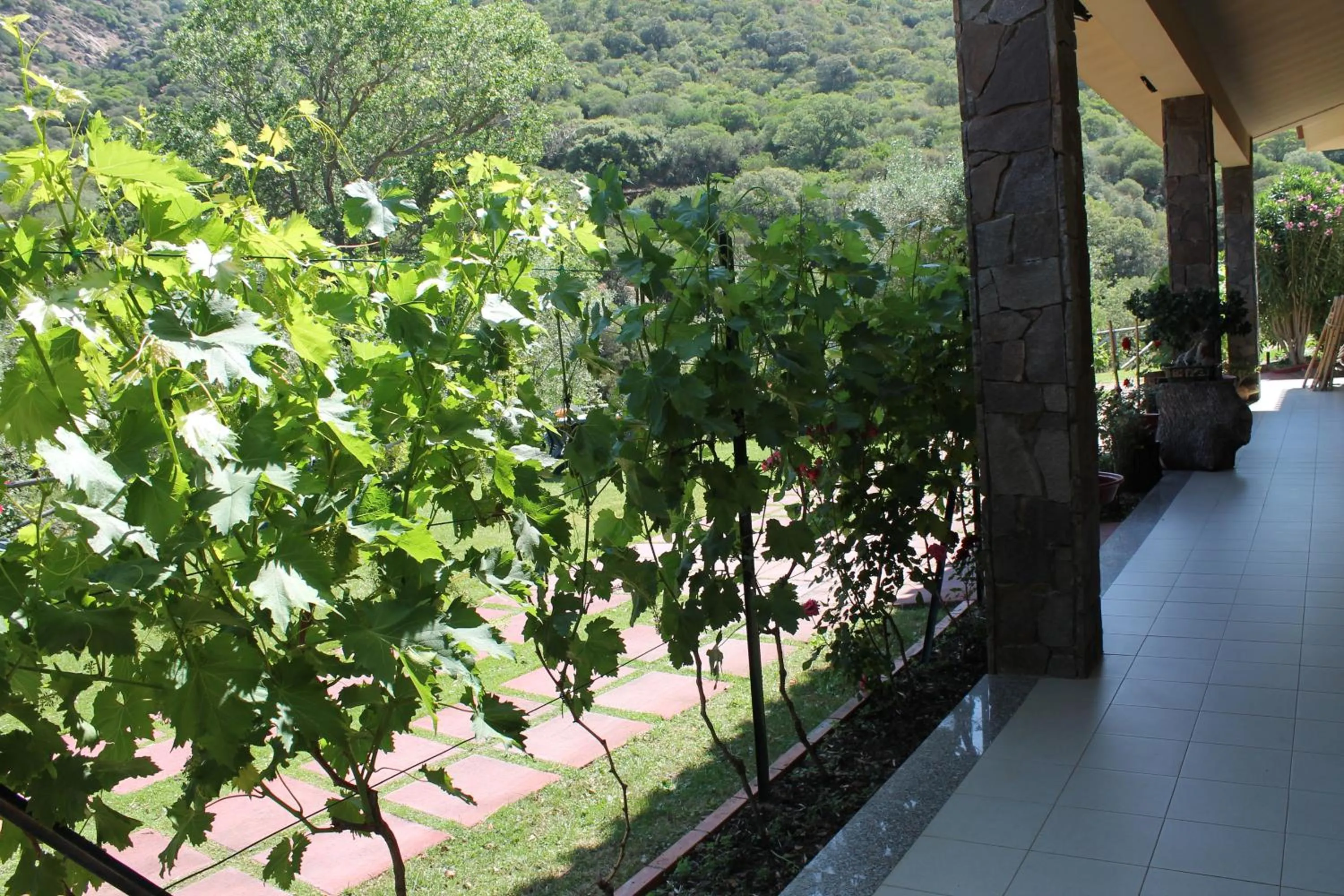 Property building in Ostello Su Mannau