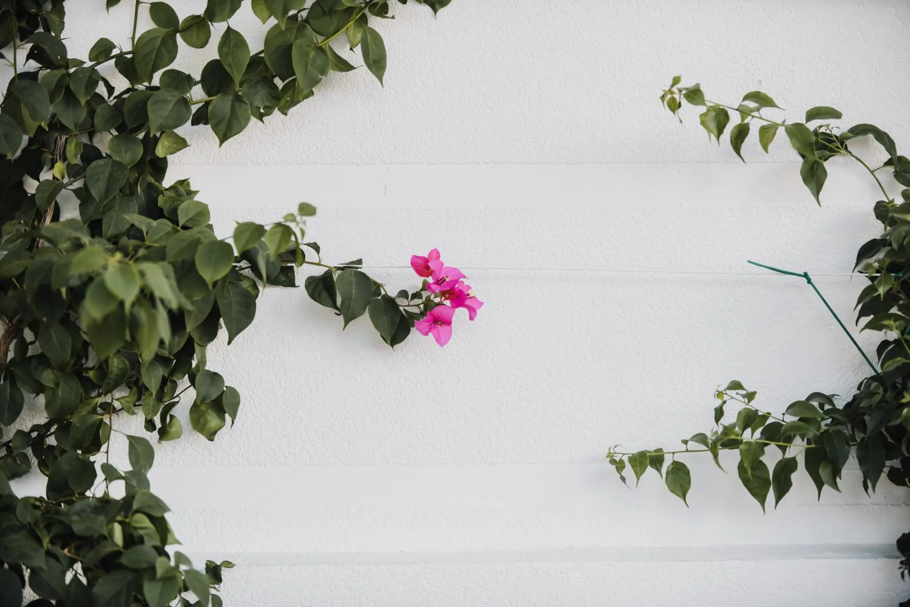 Decorative detail in Lot Boutique Hotel by Hotels and Preference