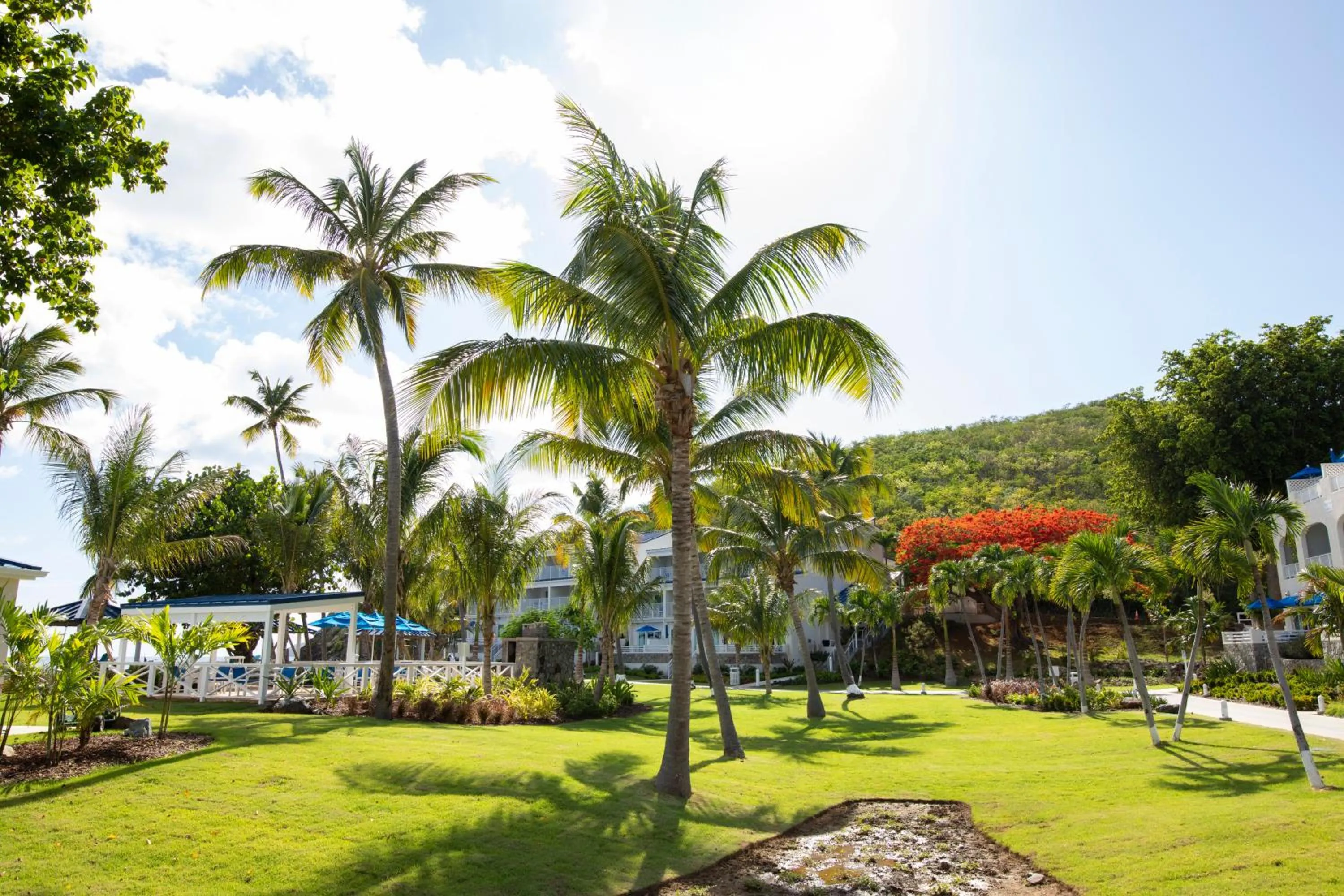 Other in Limetree Beach Resort by Club Wyndham