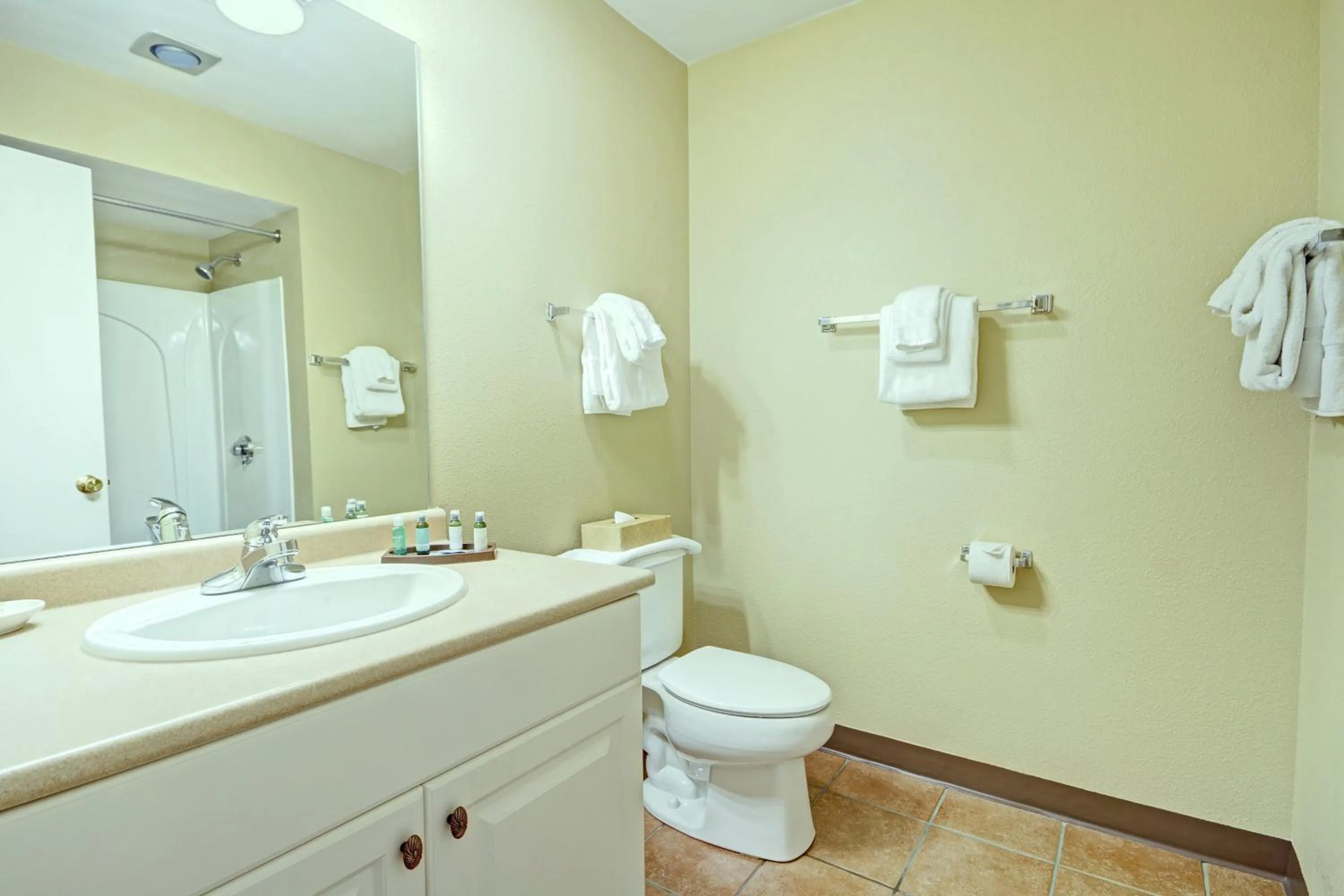 Bathroom in Club Wyndham Newport Overlook