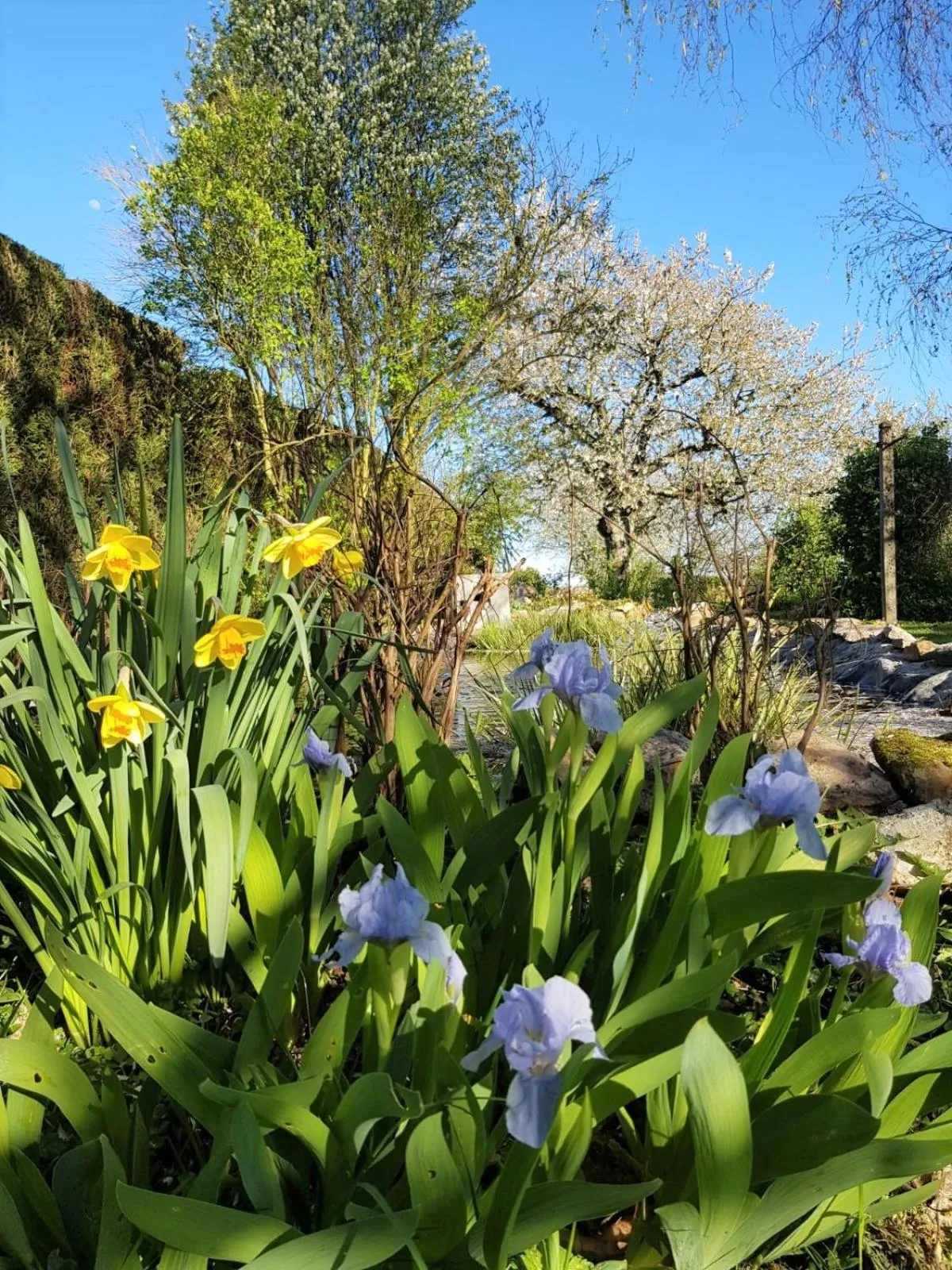 Natural landscape in Chambres D'hôtes Anne-Marie