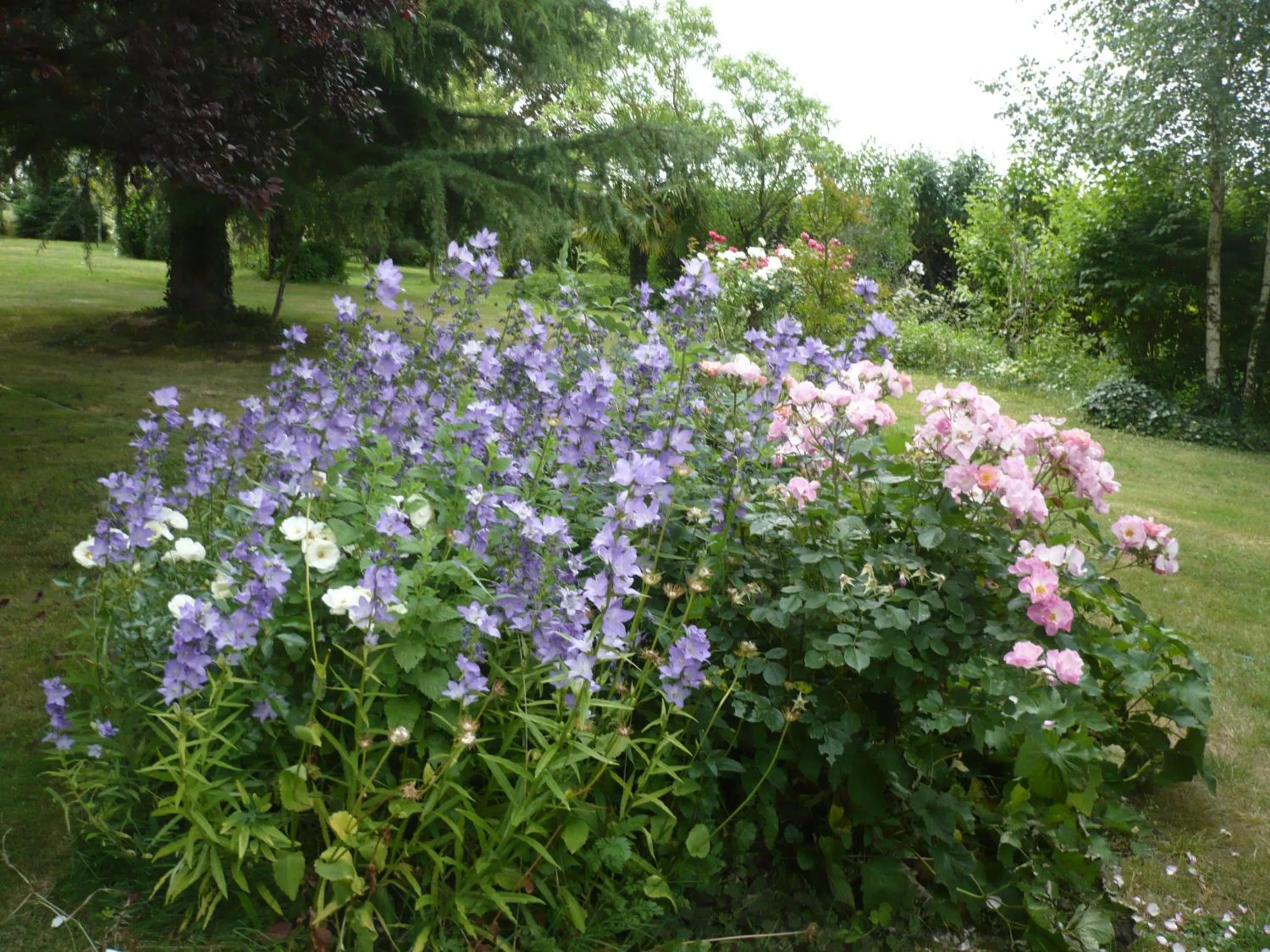 Garden in Chambres D'hôtes Anne-Marie