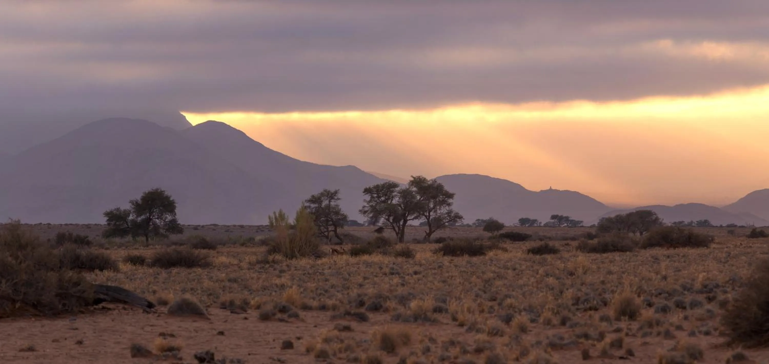 Mountain view in Desert Quiver Camp
