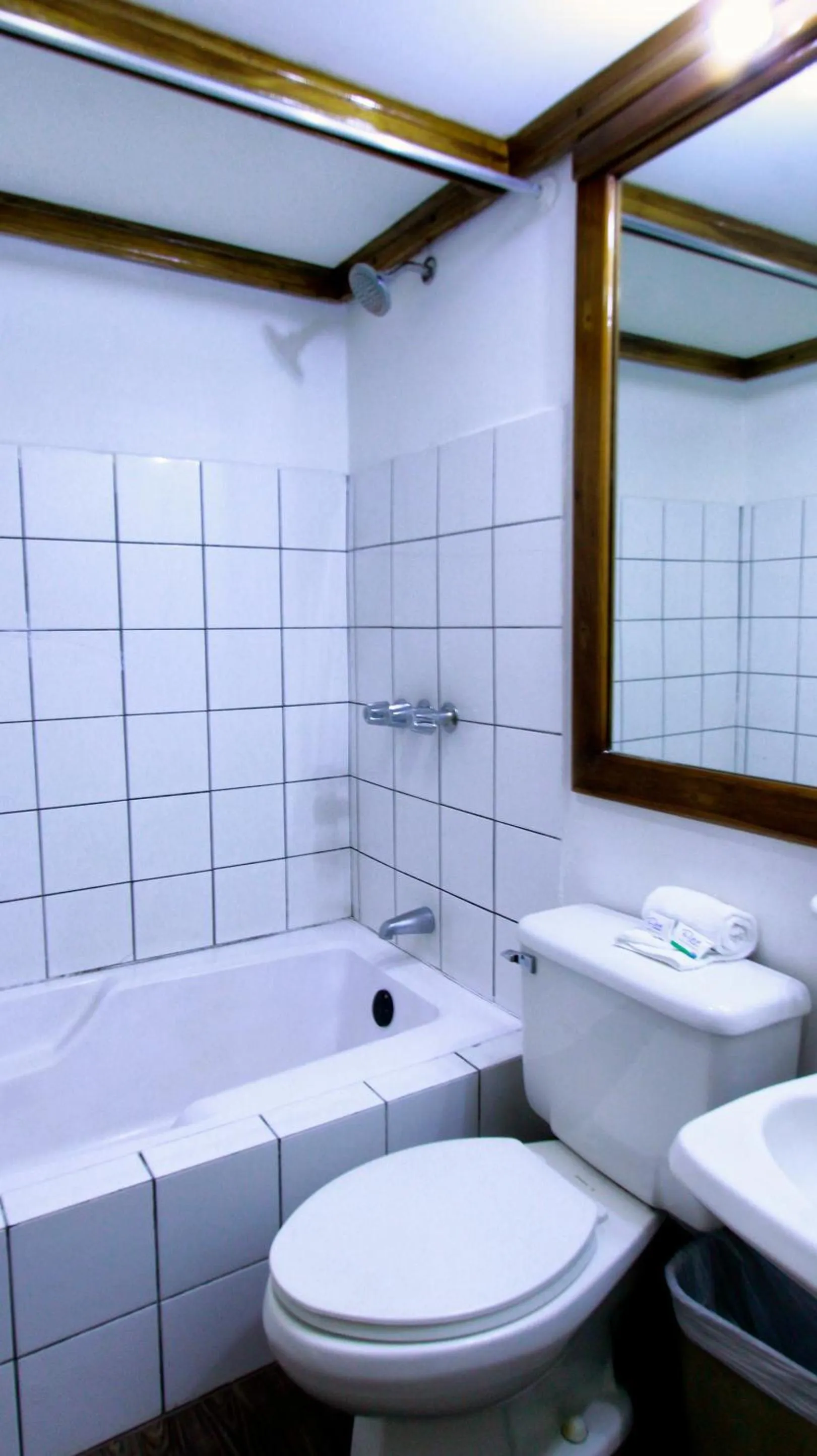 Bathroom in Hotel Ambassador