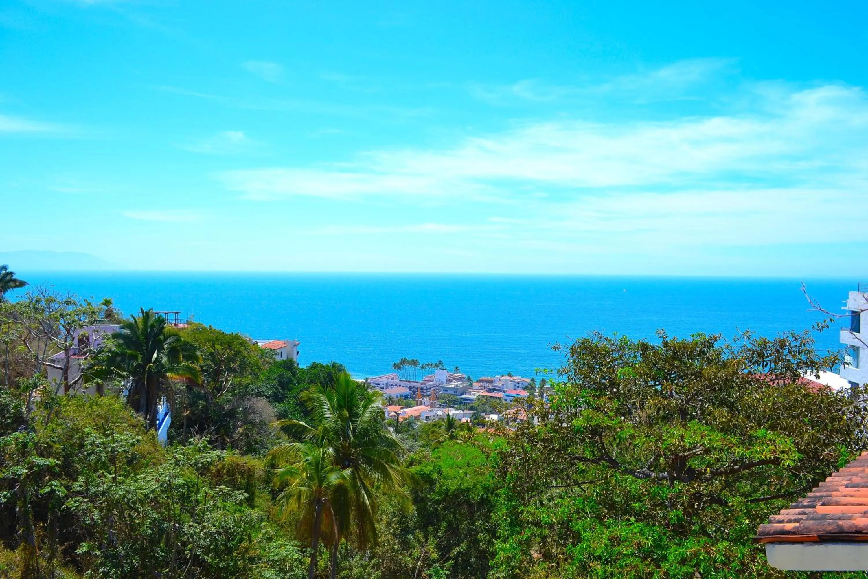 Natural landscape in Condo Selva Alta
