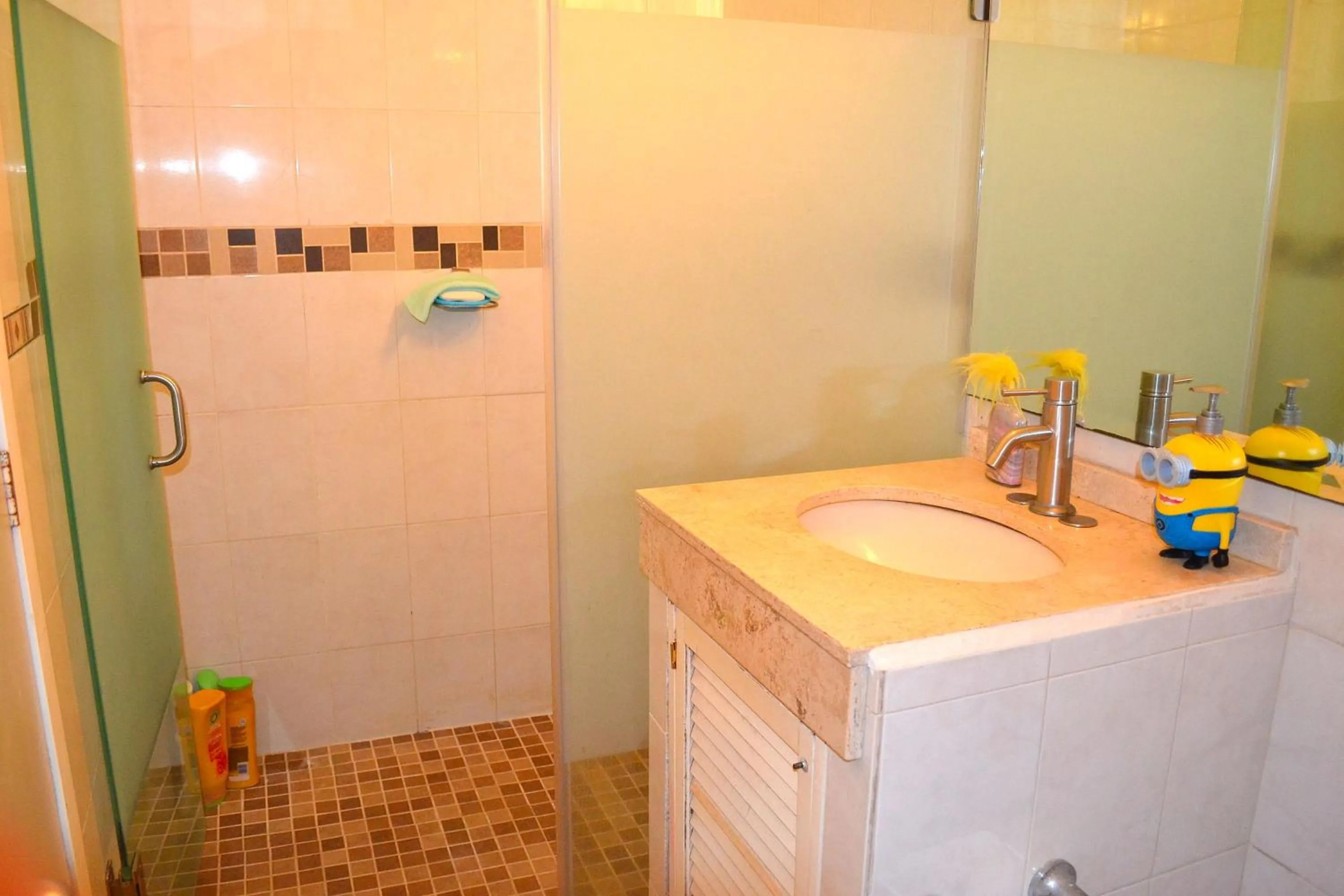 Bathroom in Condo Selva Alta