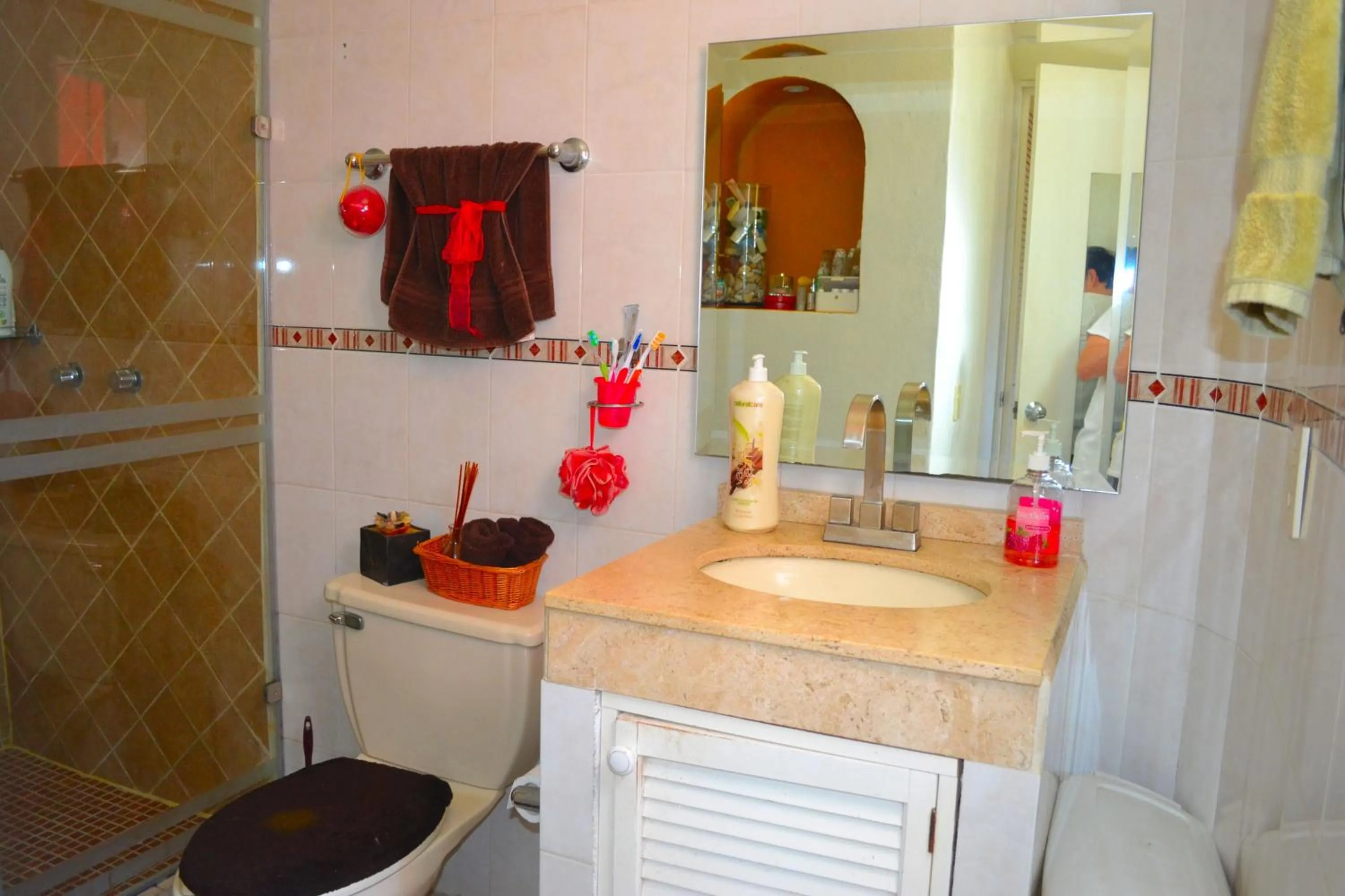 Bathroom in Condo Selva Alta