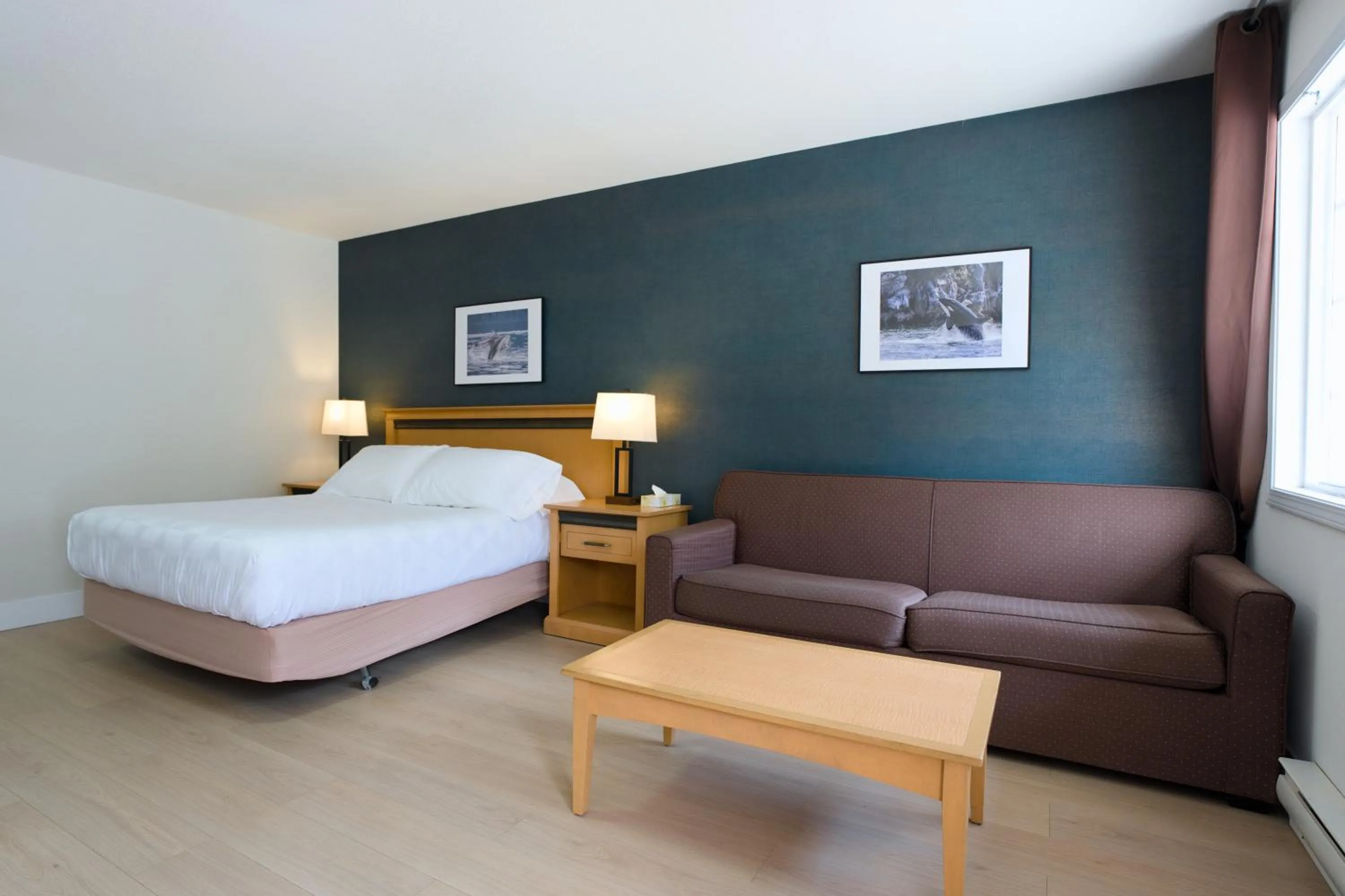 Deluxe Queen Room - Ground Floor in Park Motel