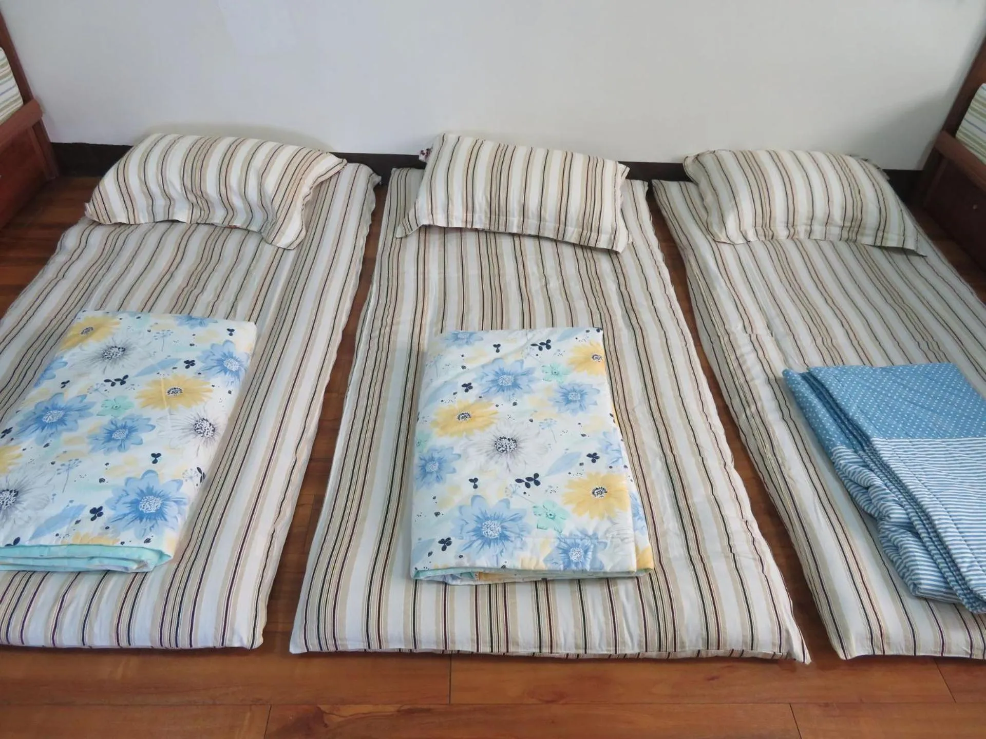 bunk bed, Bed in Hoin 4