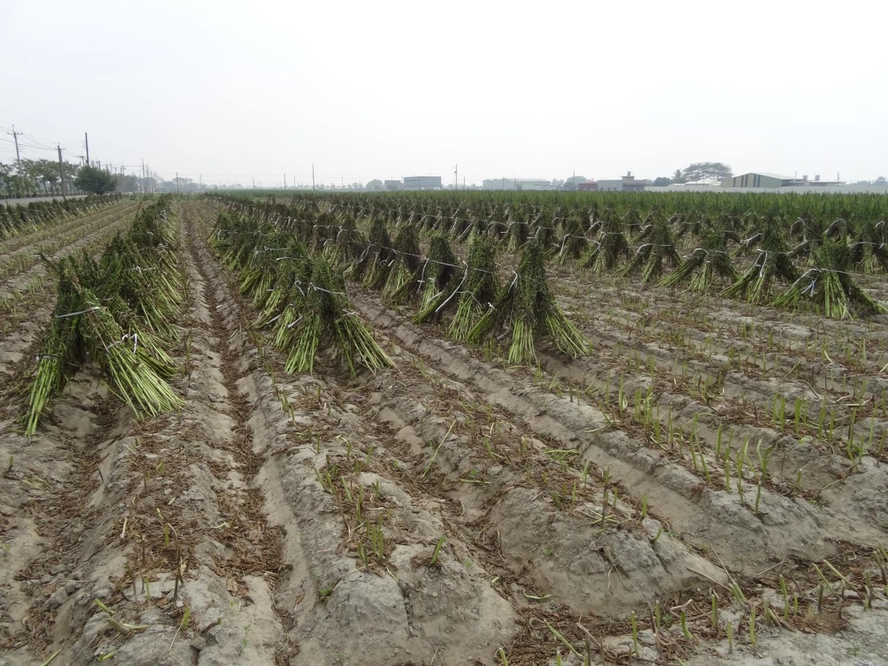 Natural landscape in Hoin 4