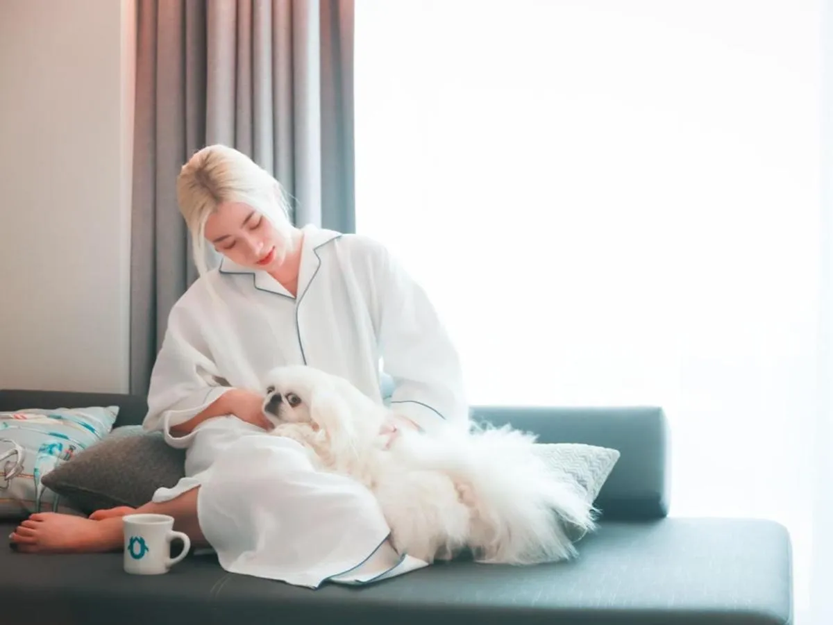 Pets in Osaka Hokko Marina HULL