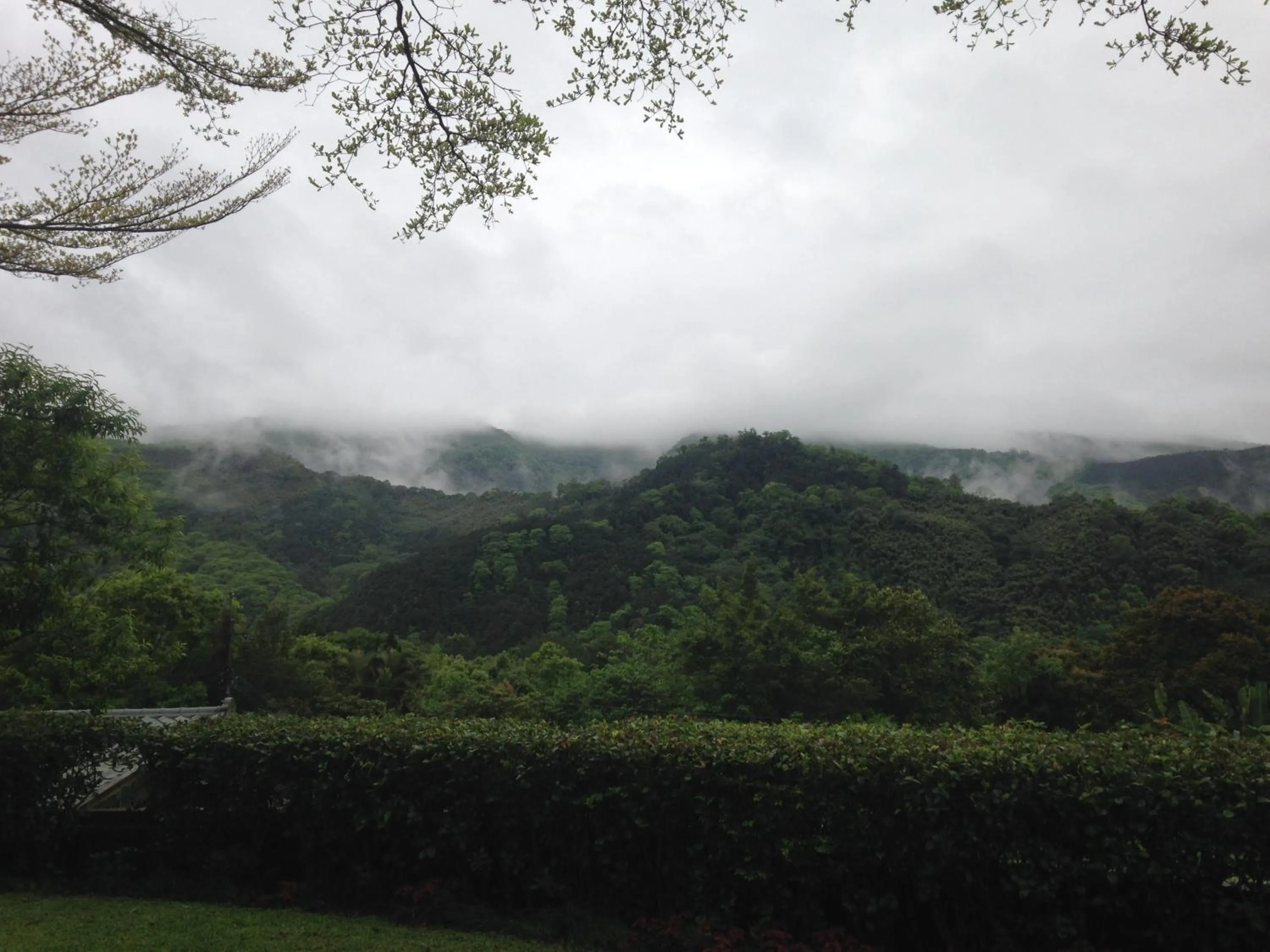 Mountain view in Red Brick Villas