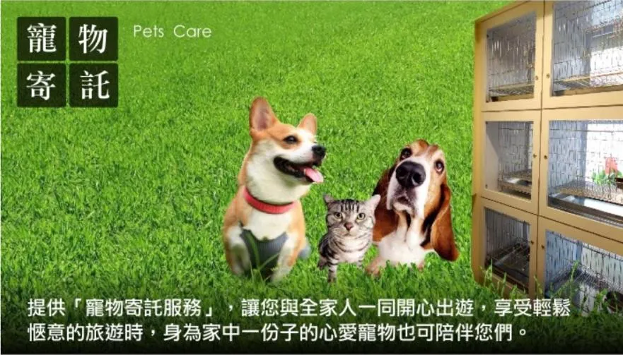 Pets in Yudali Motel