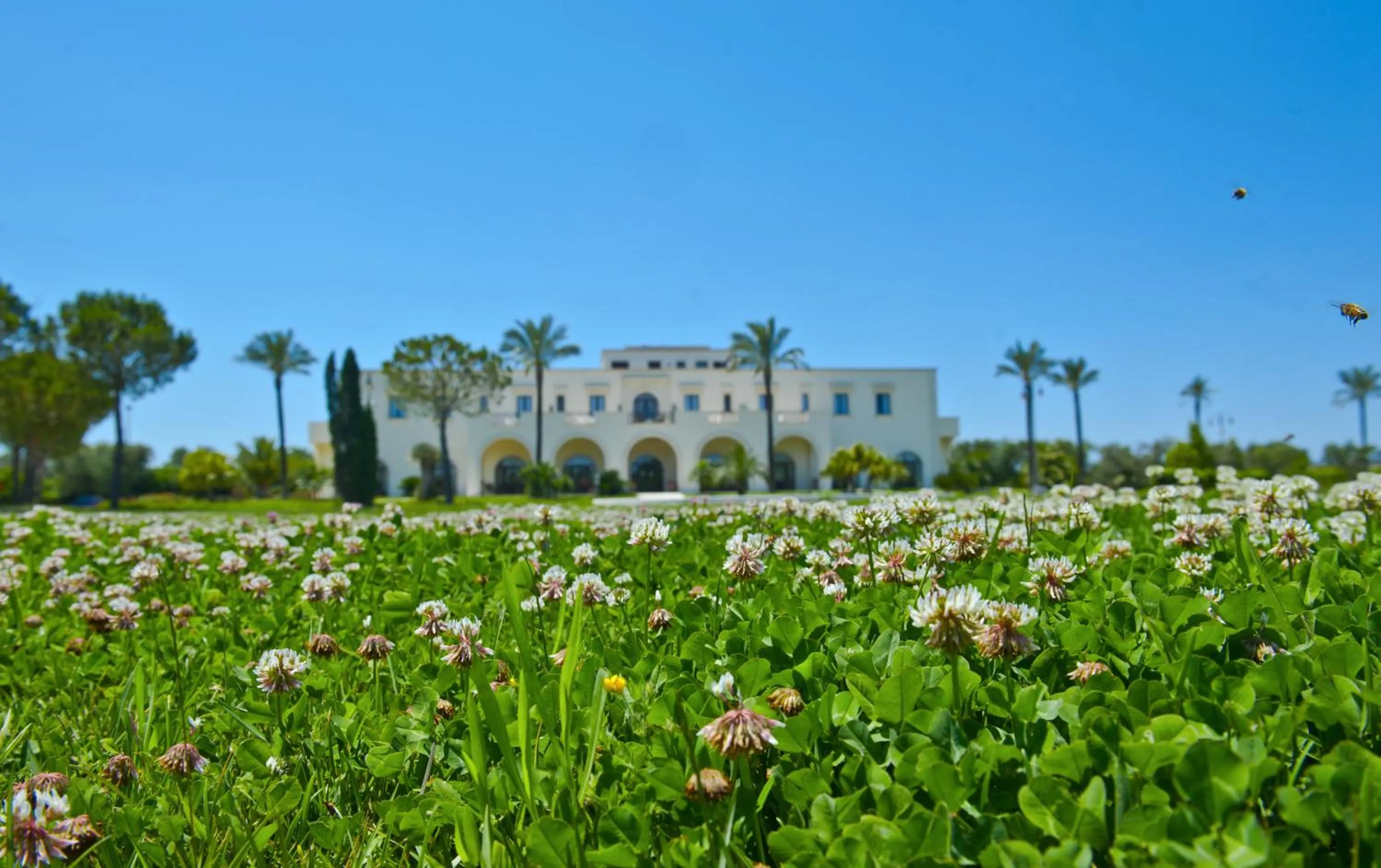 Day in AmareGold Tenuta La Baronessa Resort