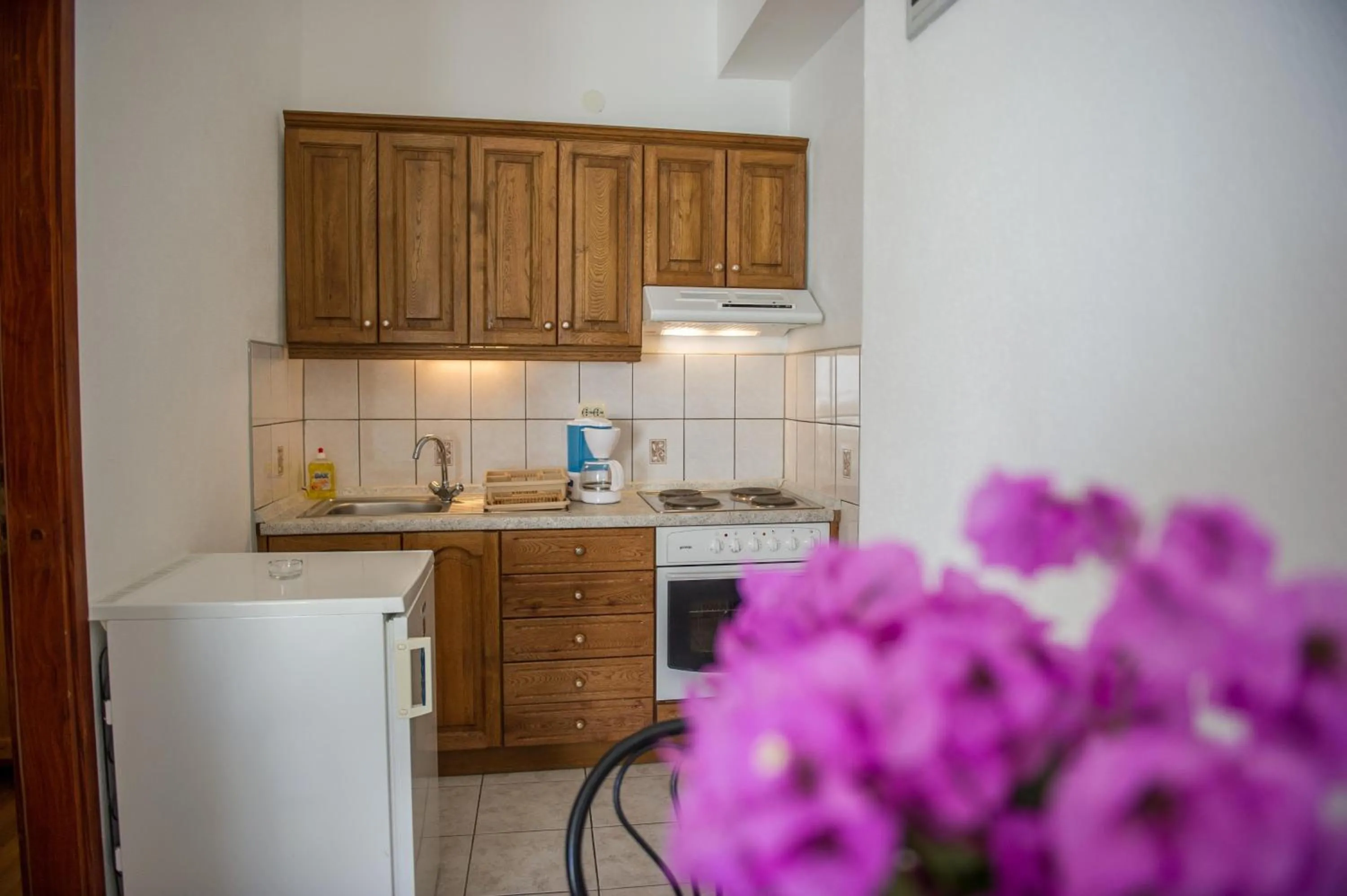 Apartment in Apartments Škarpa 1601