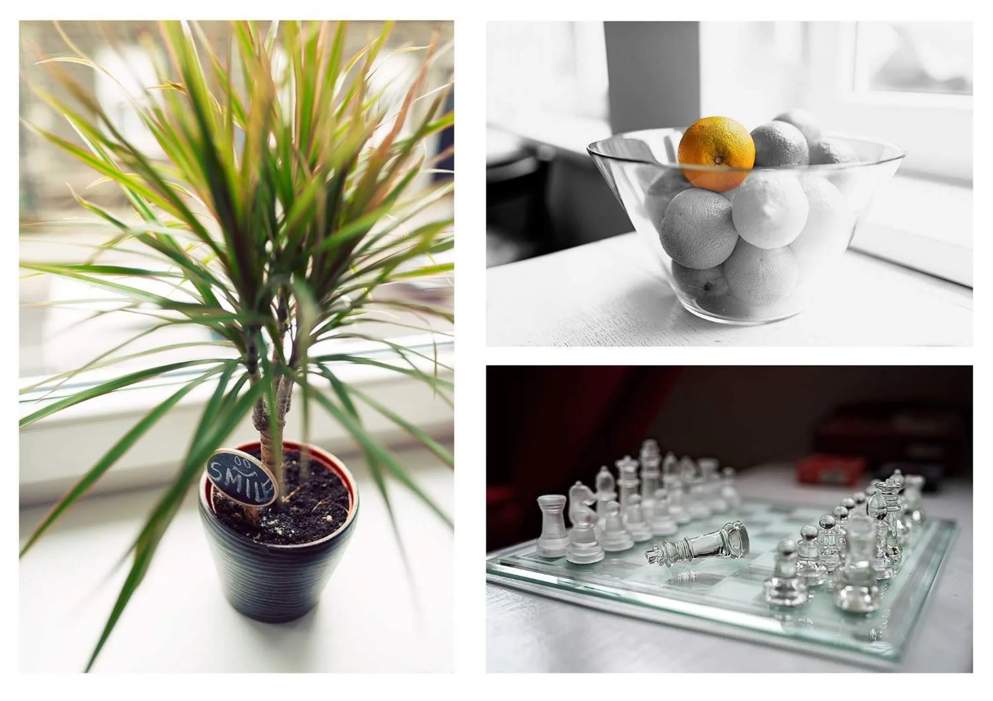 Decorative detail in The Dots Hostel