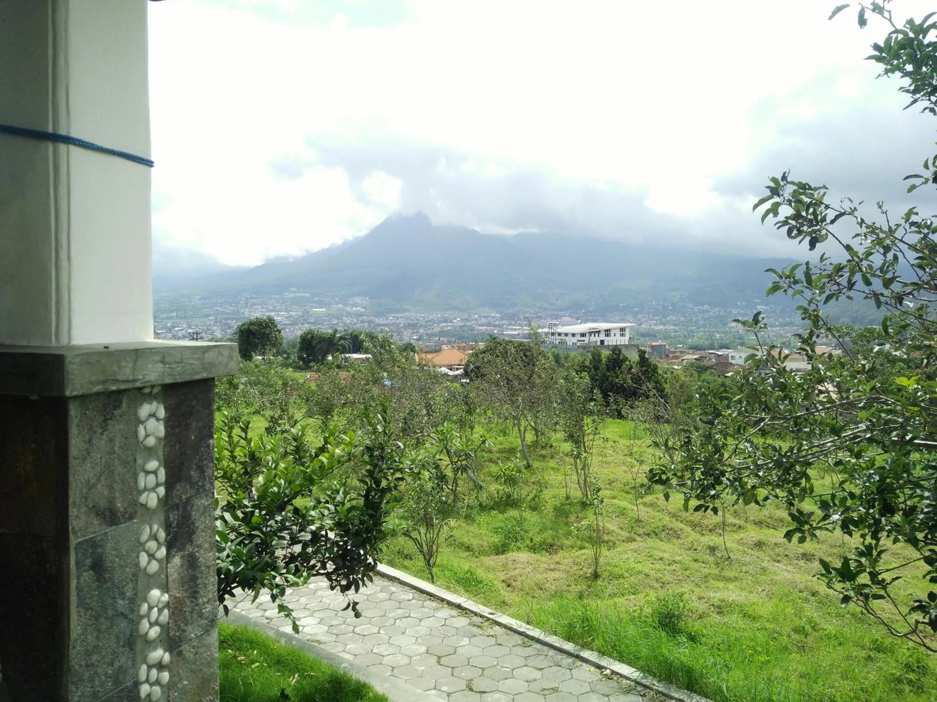 Natural landscape in Shanty's House