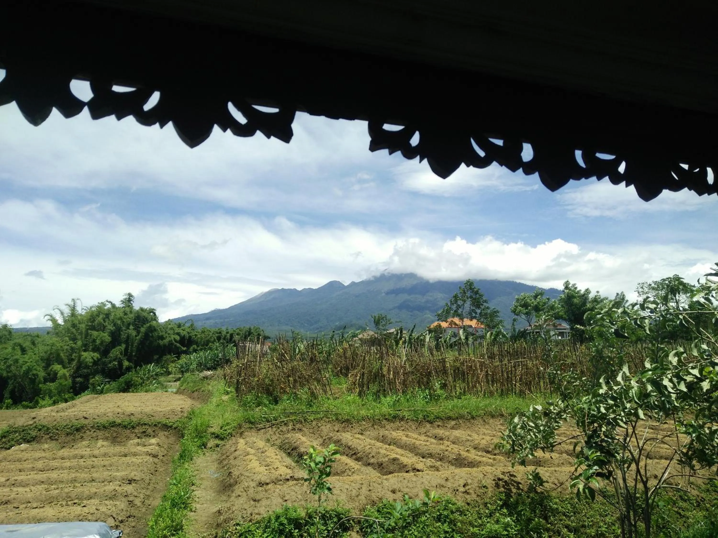 Natural landscape in Shanty's House