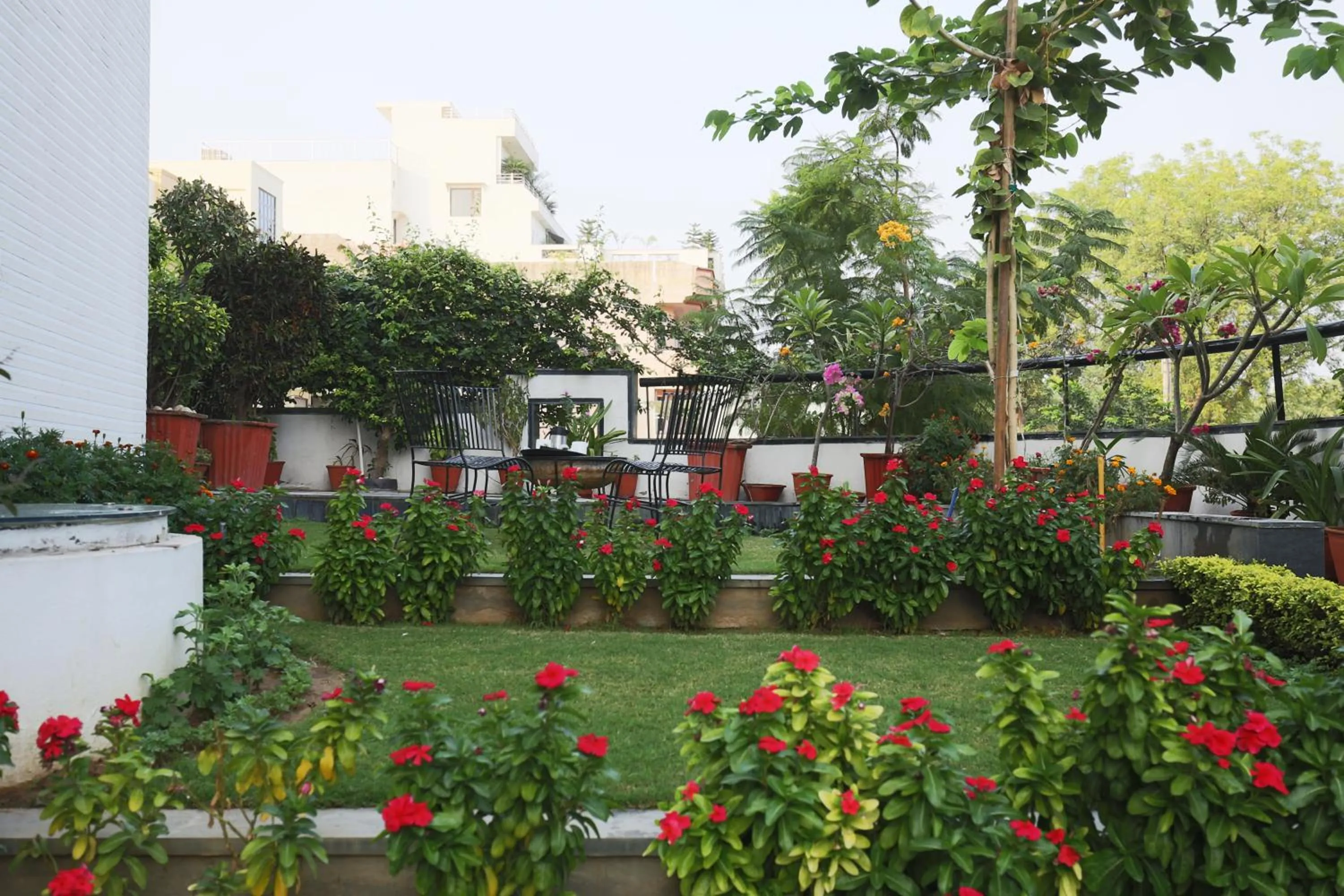 Garden view in The Saneer Jaipur