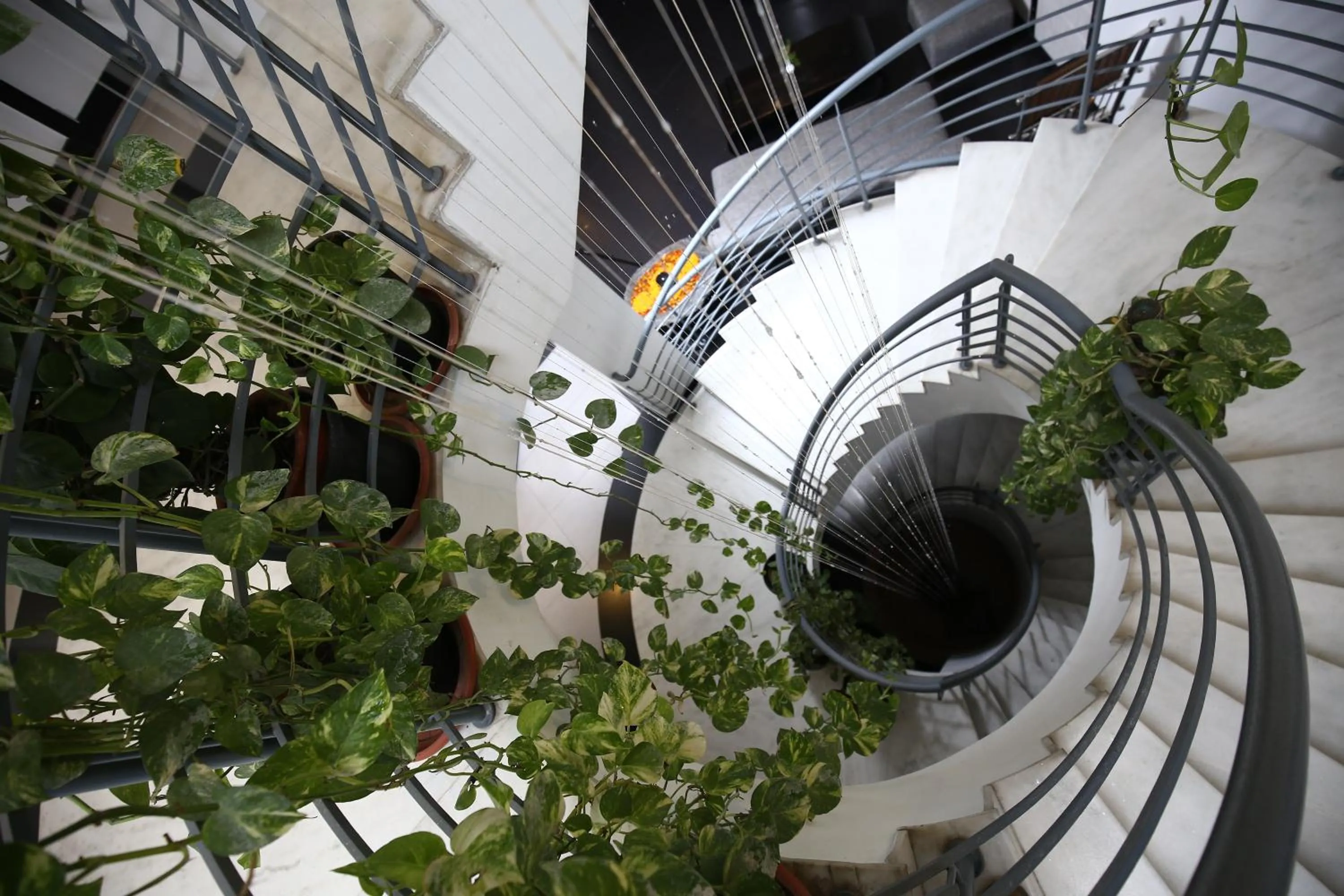 Balcony/Terrace in The Saneer Jaipur