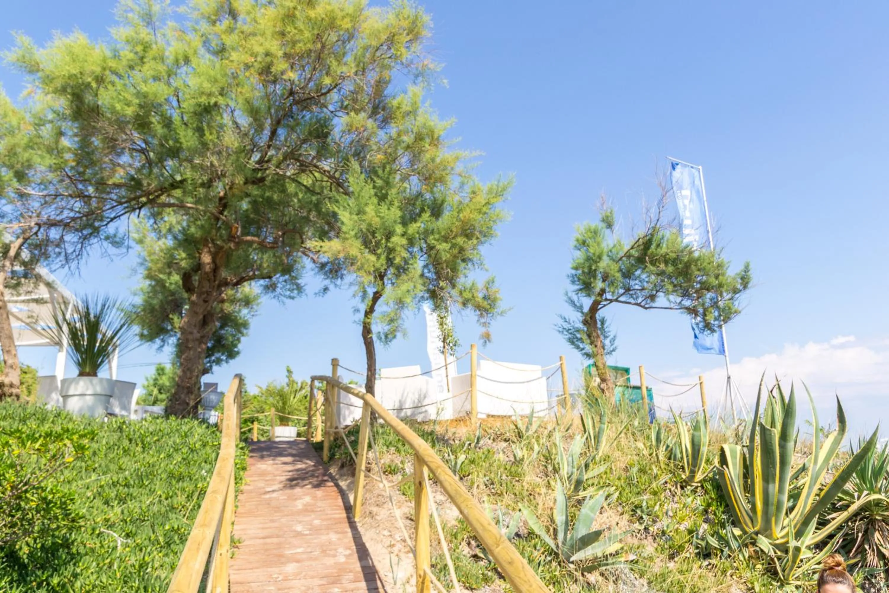 Patio in Aquarium Residence