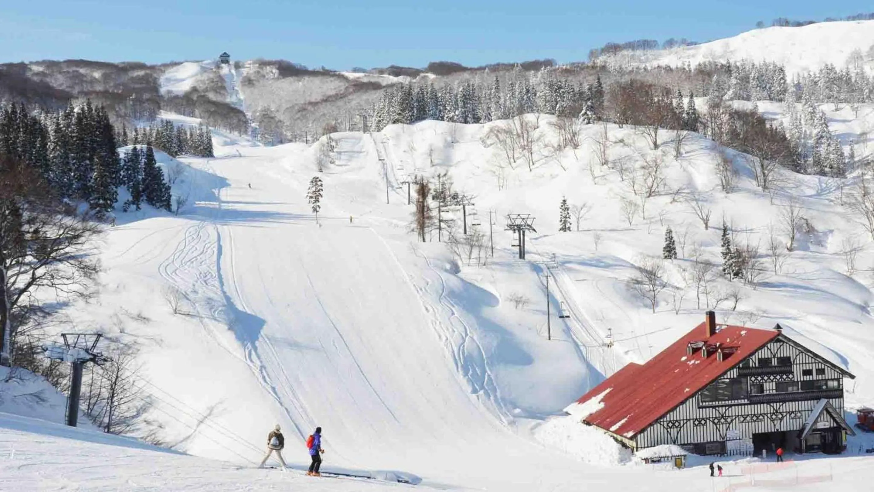 Skiing in Hotel Green Plaza Joetsu
