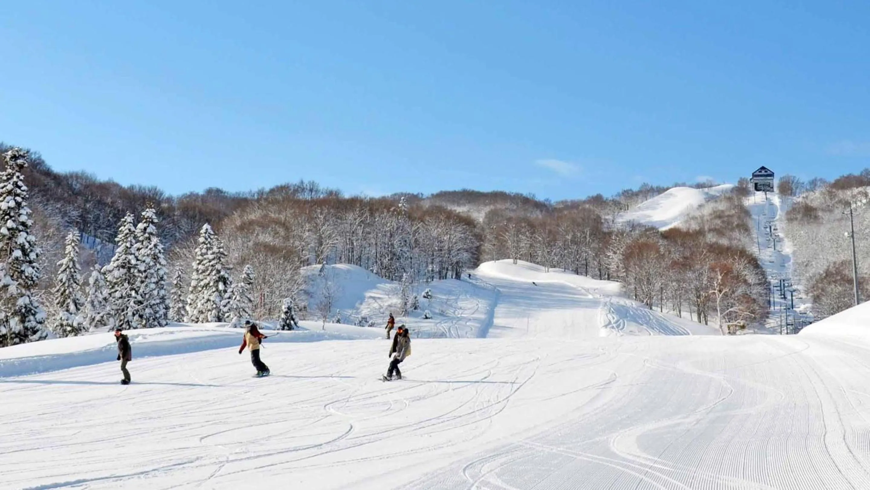 Skiing in Hotel Green Plaza Joetsu