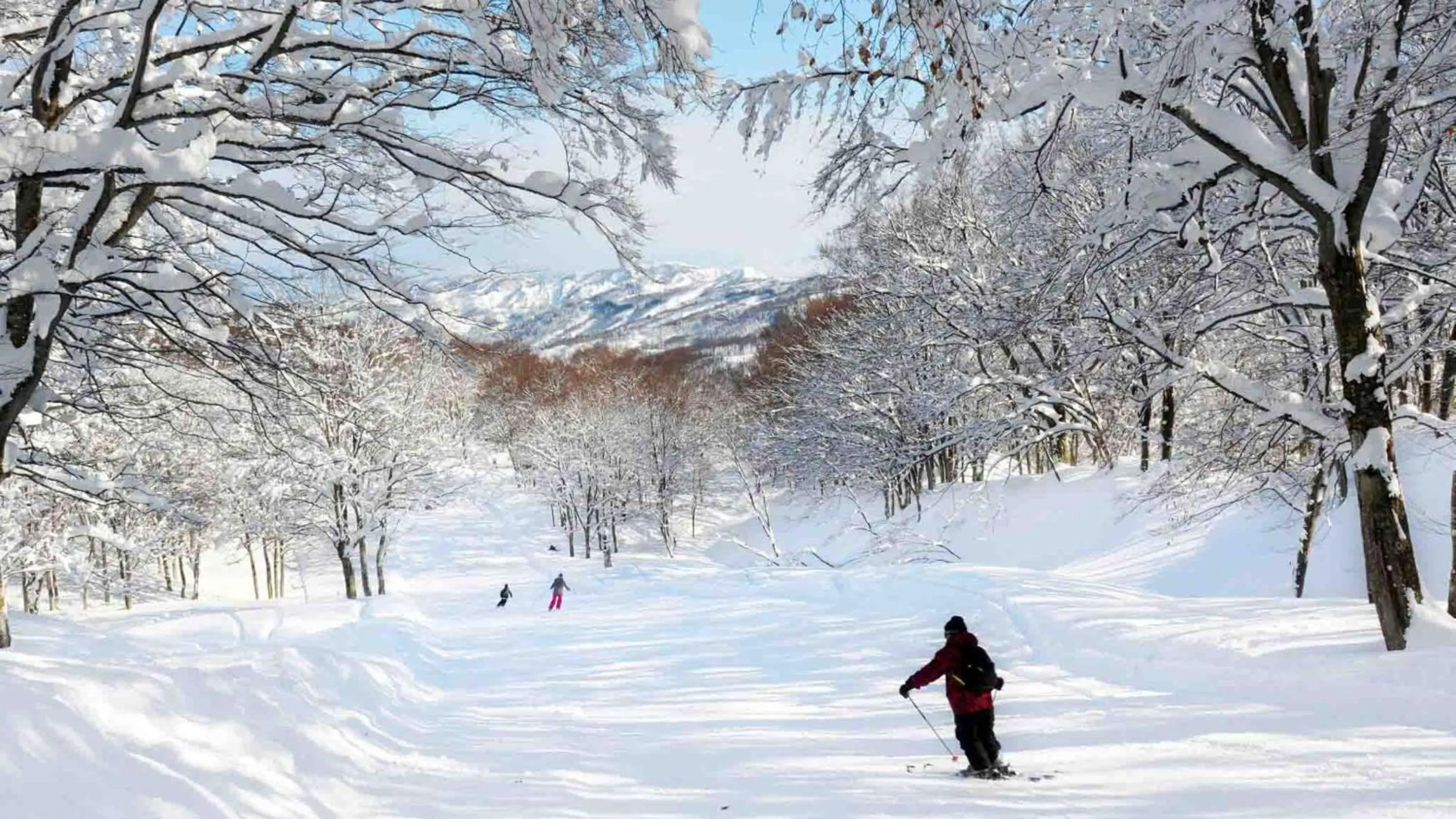 Skiing in Hotel Green Plaza Joetsu