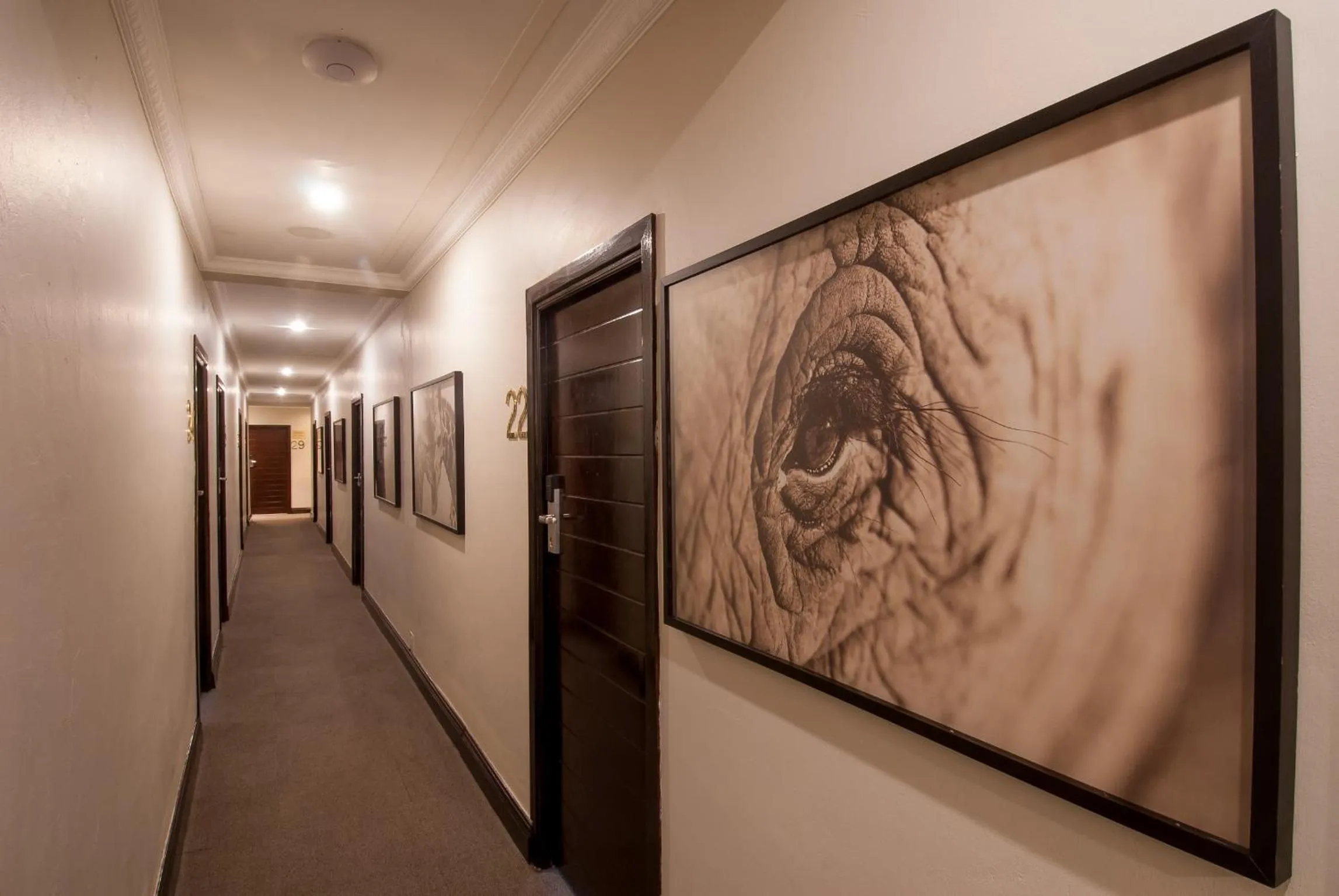 Decorative detail in The Graham Hotel