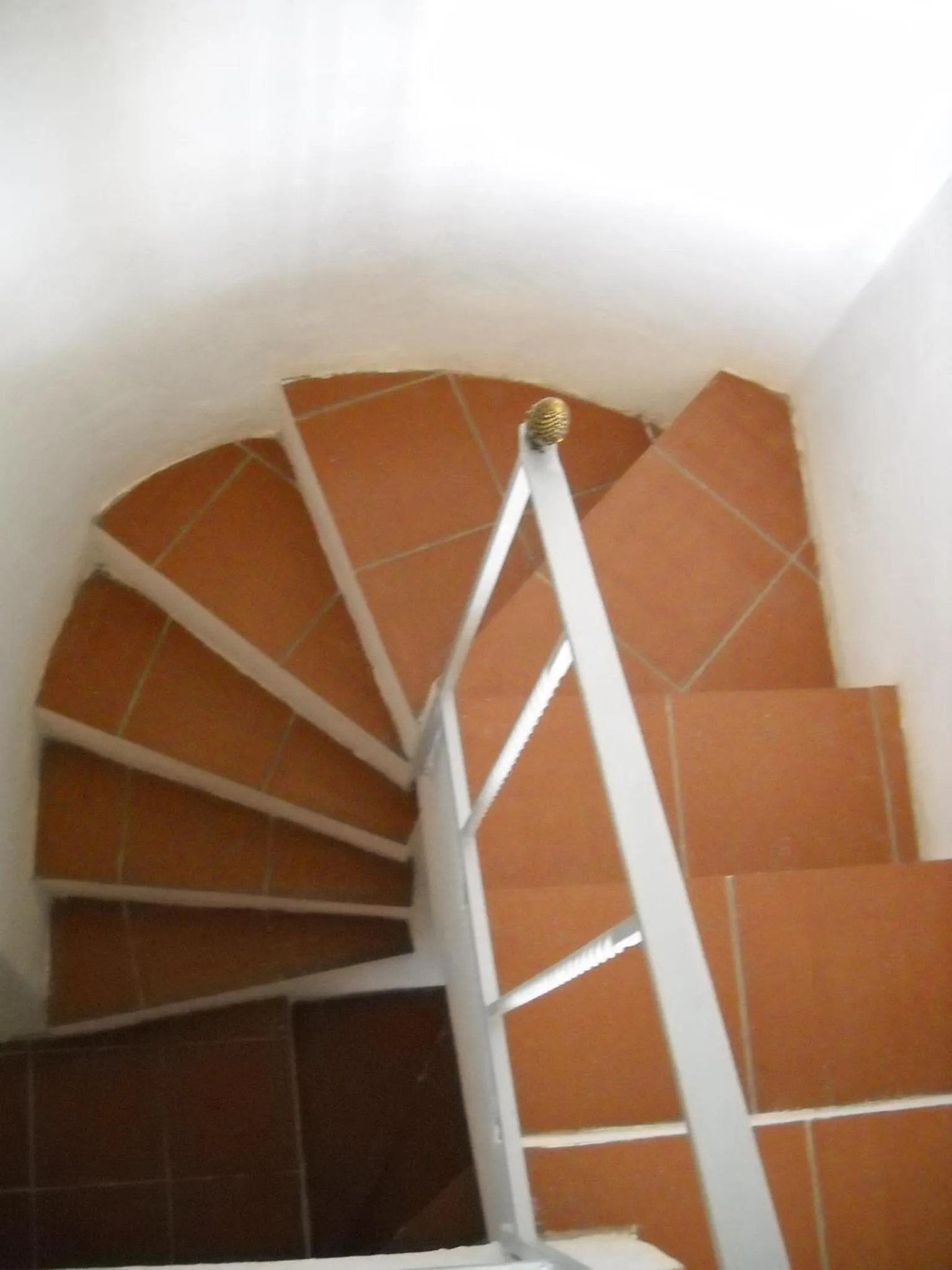 Other in Marulivo Hotel