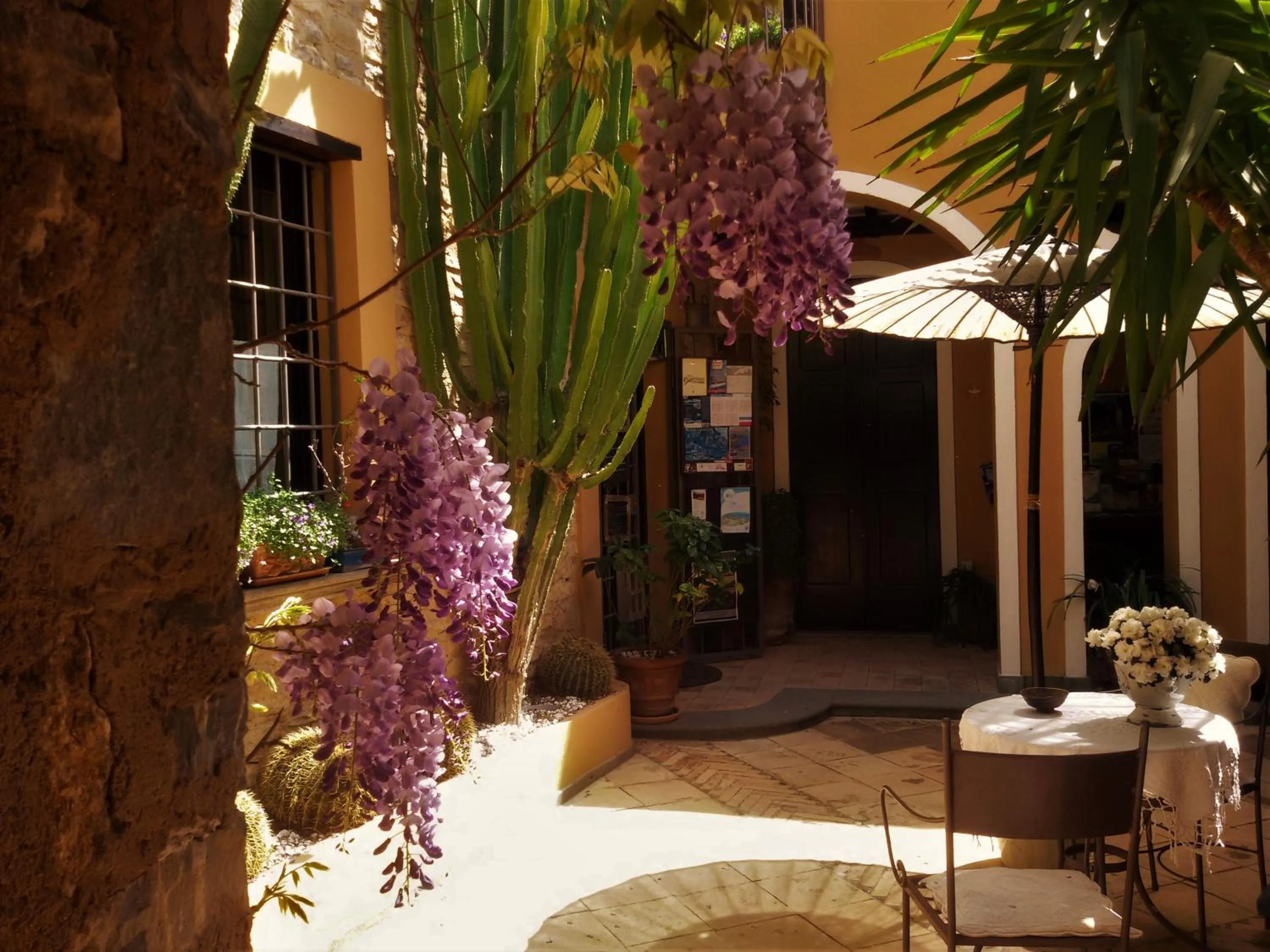 View (from property/room) in Marulivo Hotel