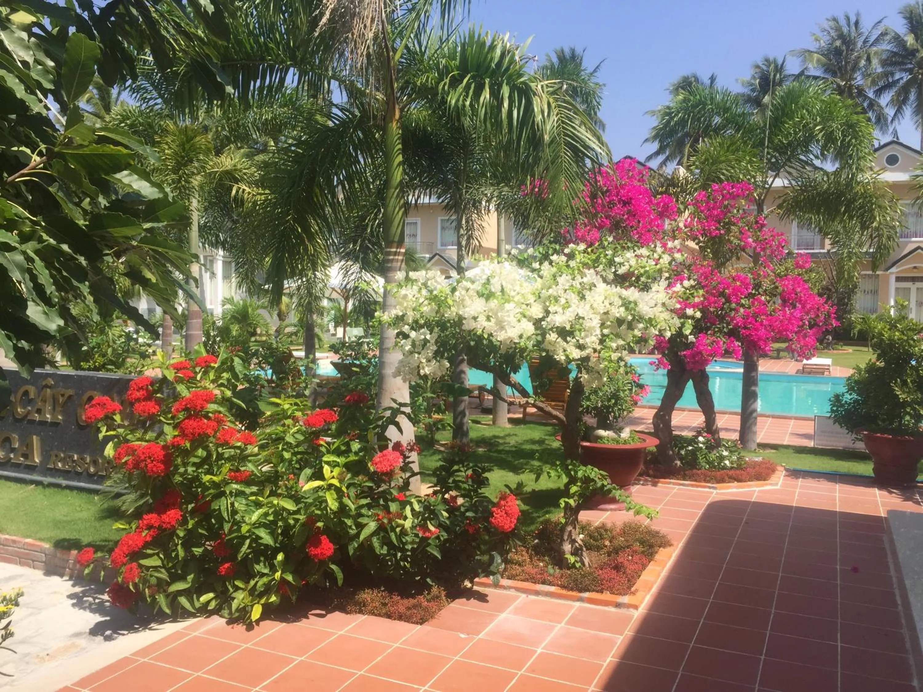 Garden in Areca Resort